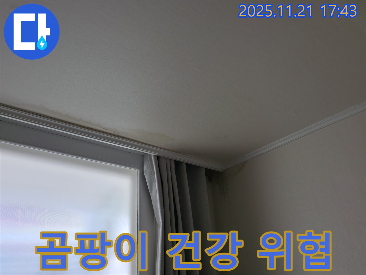 서대문구 창틀 누수 - 곰팡이 - 건강 위협