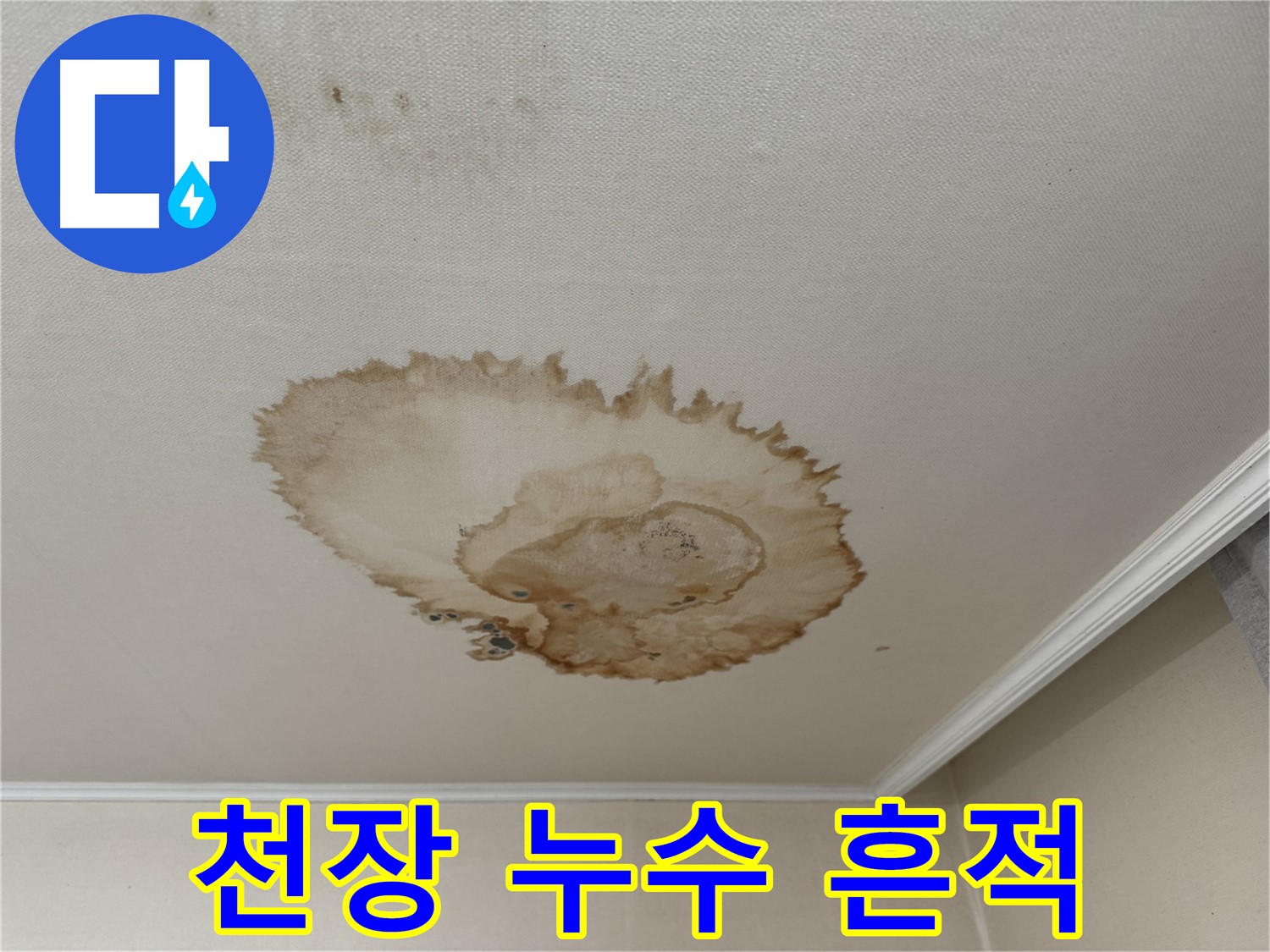 서대문구 홍제동 누수 - 곰팡이가 슨 천장 누수 흔적