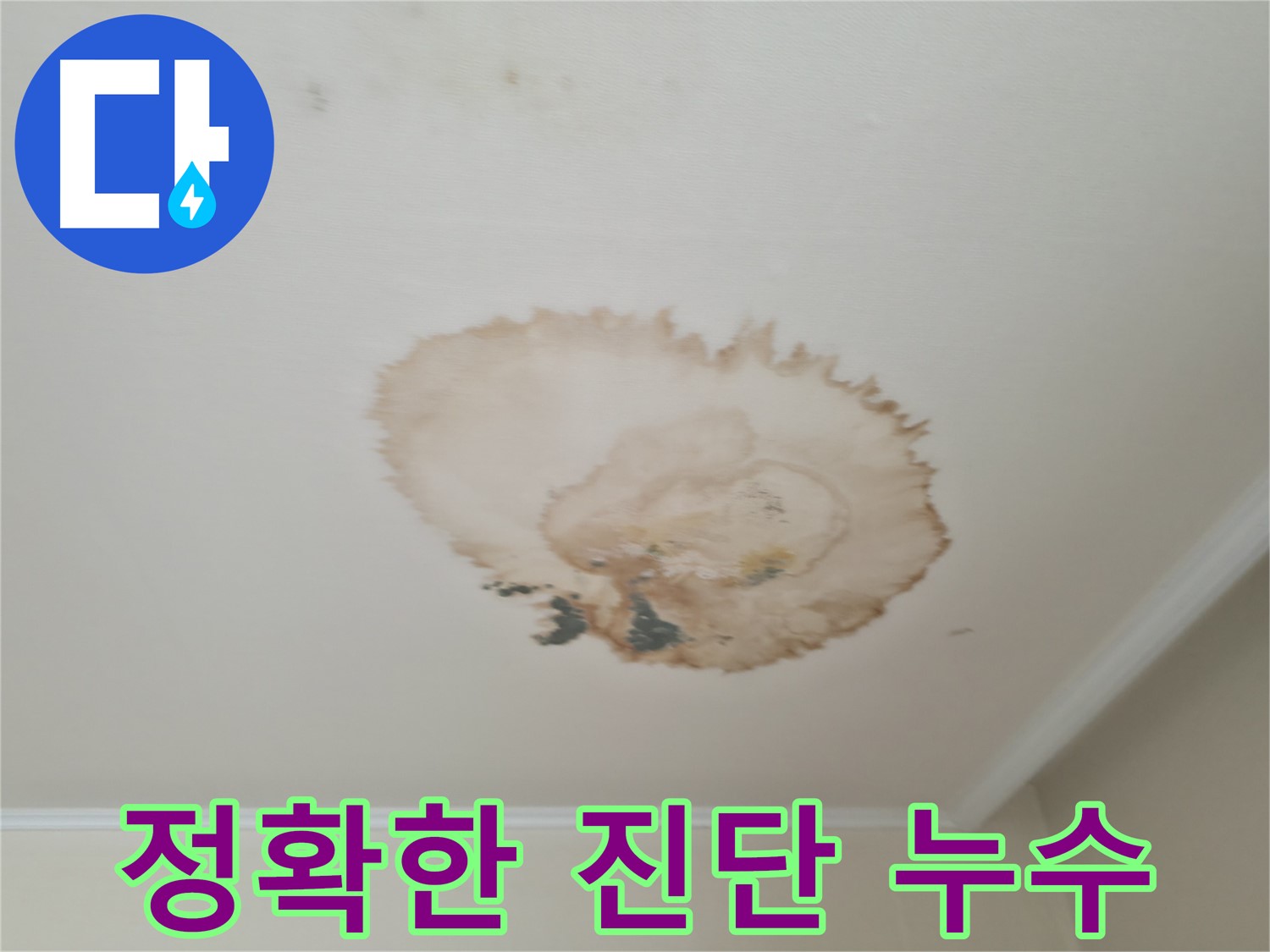 정확한 진단 - 최소한의 피해 - 서대문구 누수탐지