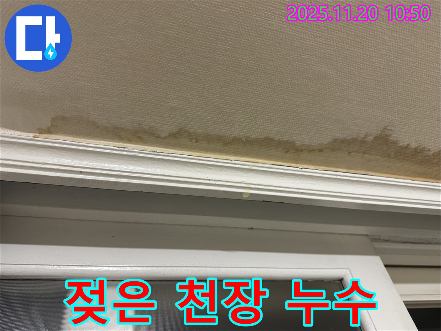 젖은 천장 - 물방울 - 긴급 상황