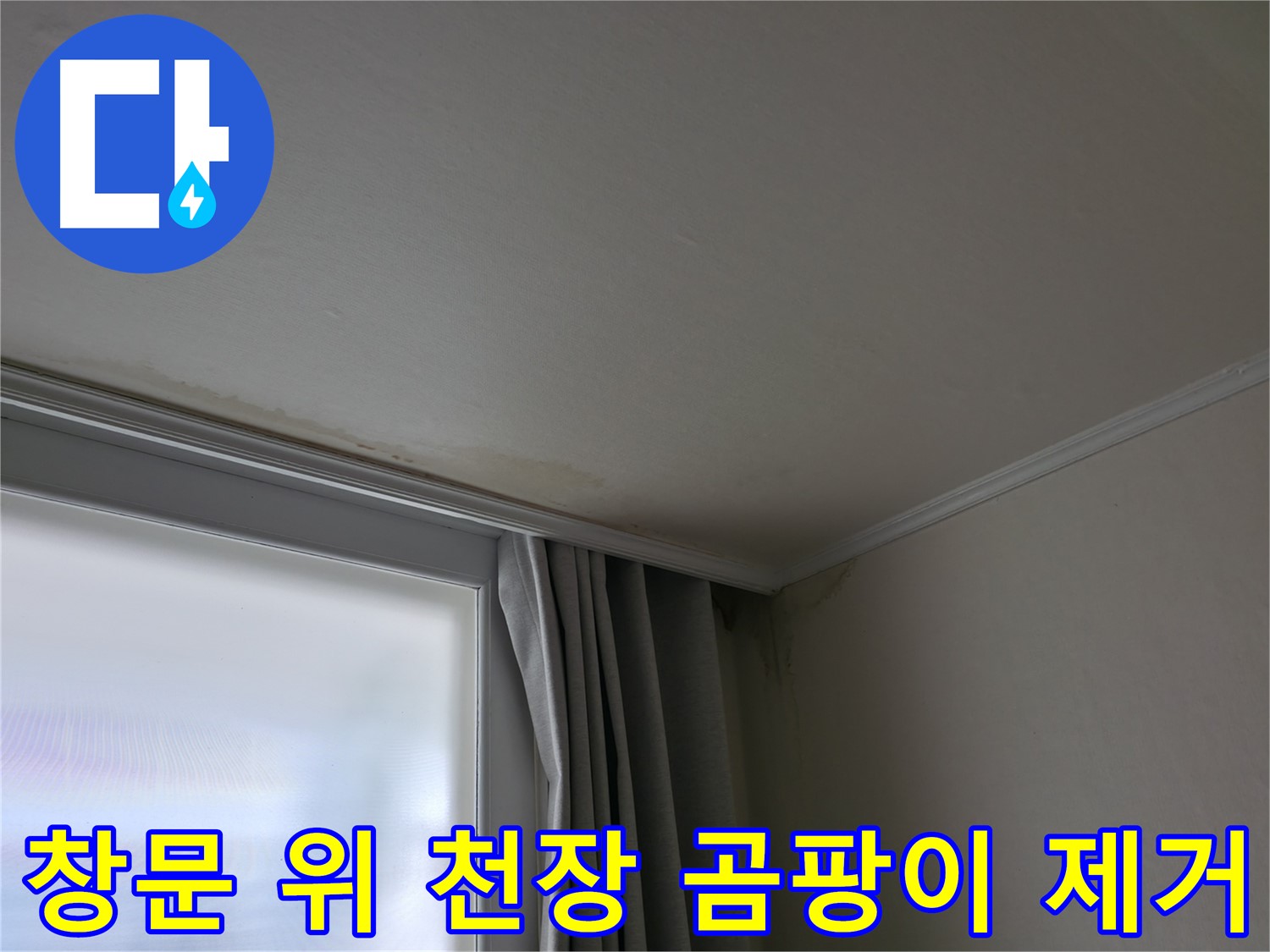 창문 위 천장 곰팡이 - 곰팡이 제거 및 쾌적한 환경 조성