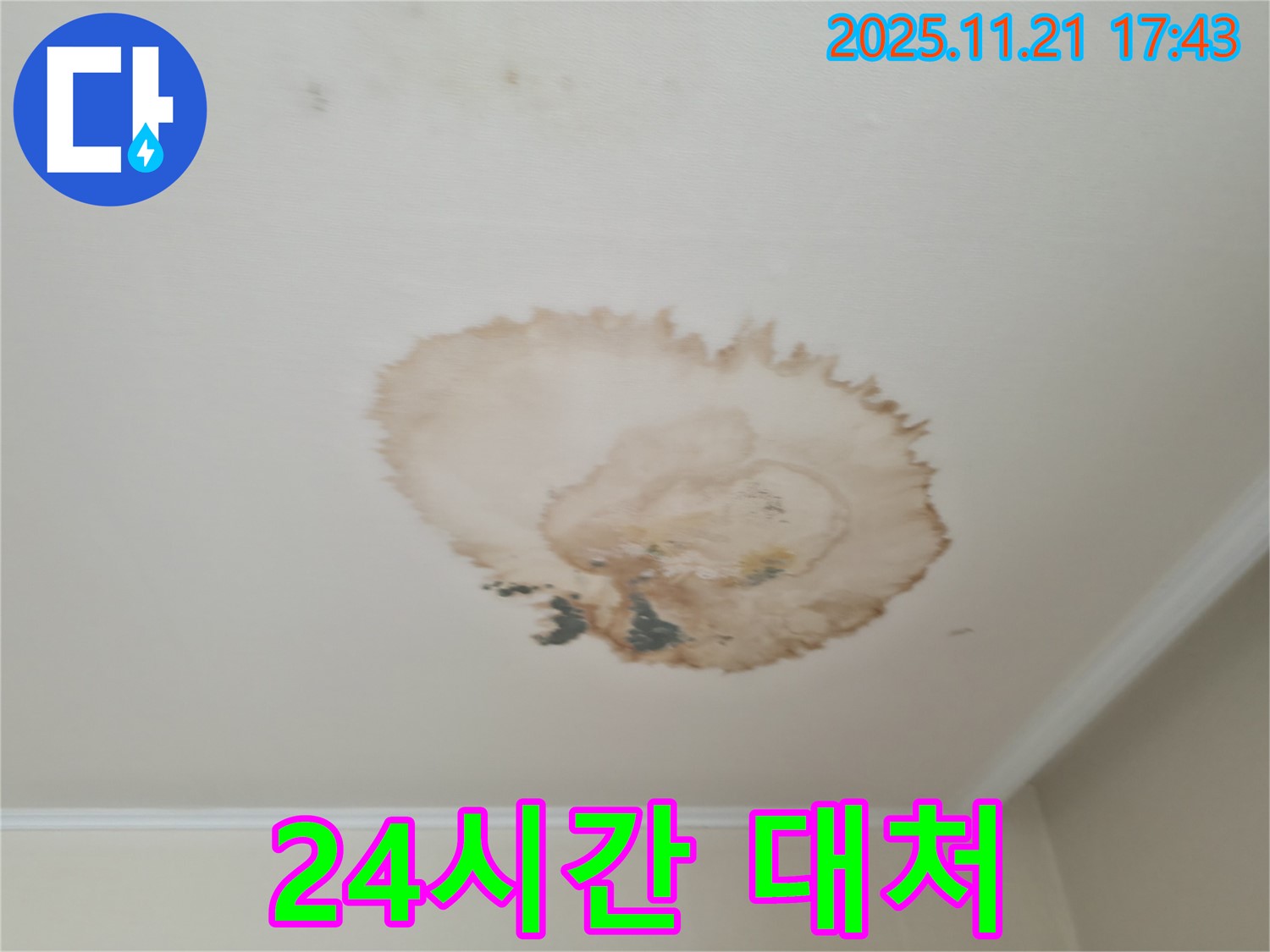 천장 누수 - 24시간 - 긴급 대처