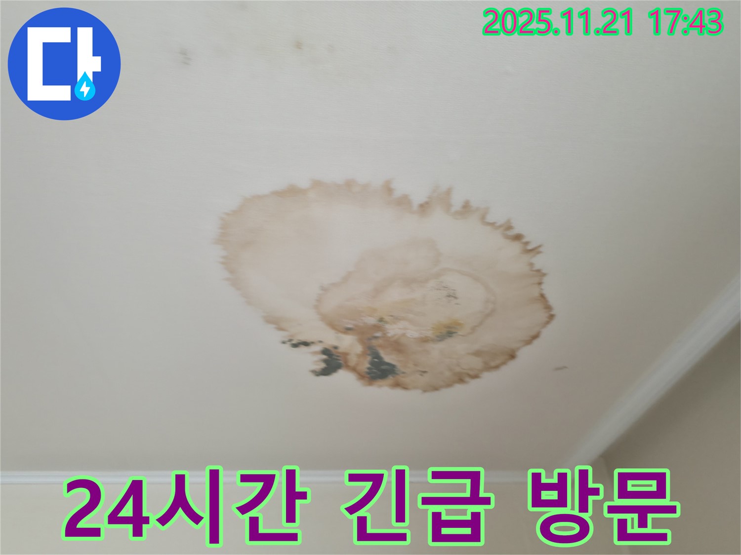 천장 누수 - 24시간 - 긴급 방문