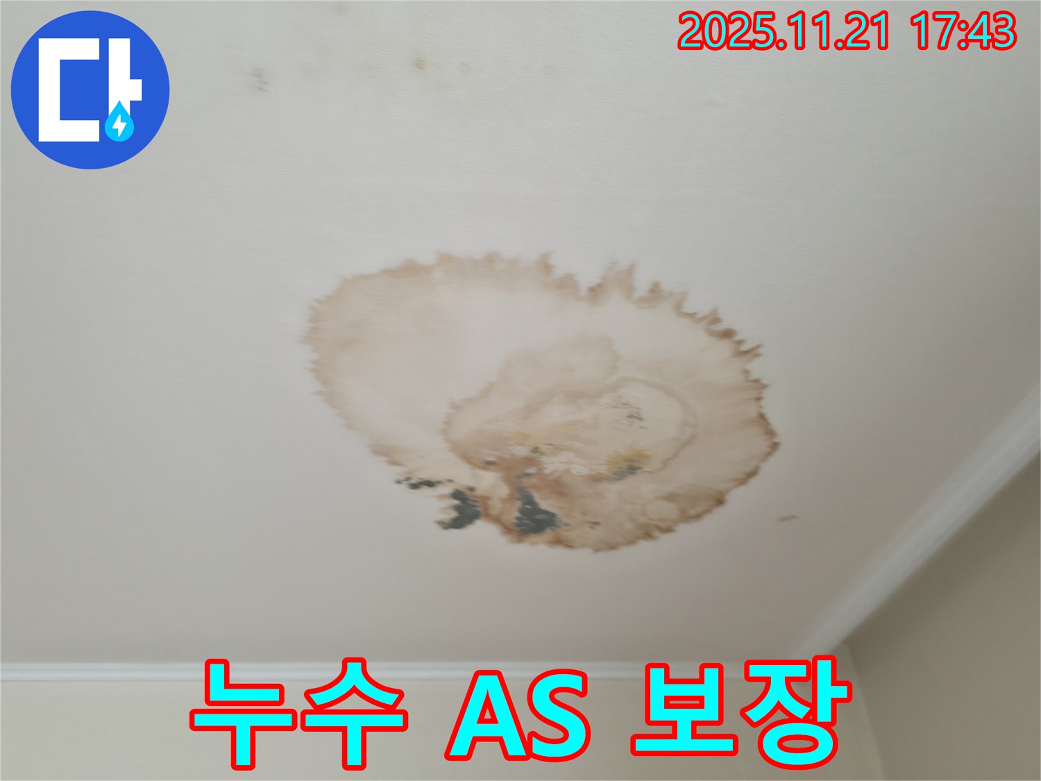 천장 누수 - A/S 보장 - 책임 시공