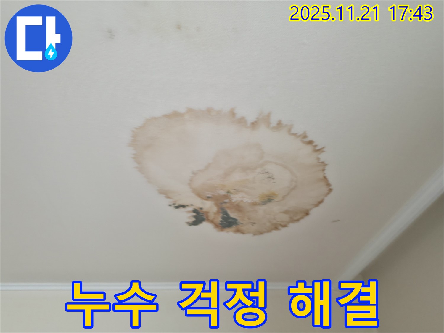 천장 누수 - 걱정 해결 - 완벽한 시공