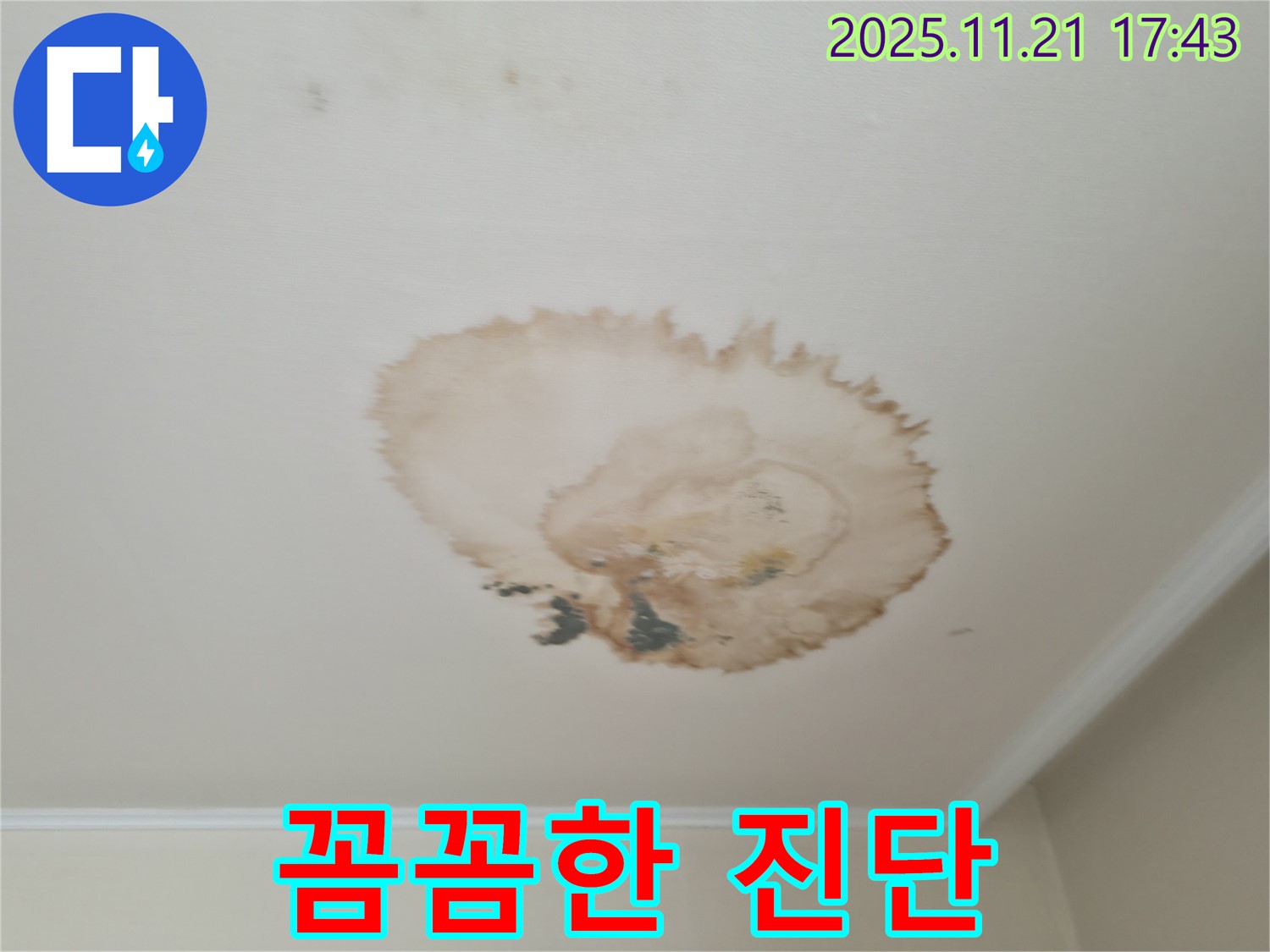 천장 누수 - 꼼꼼 진단 - 재발 방지