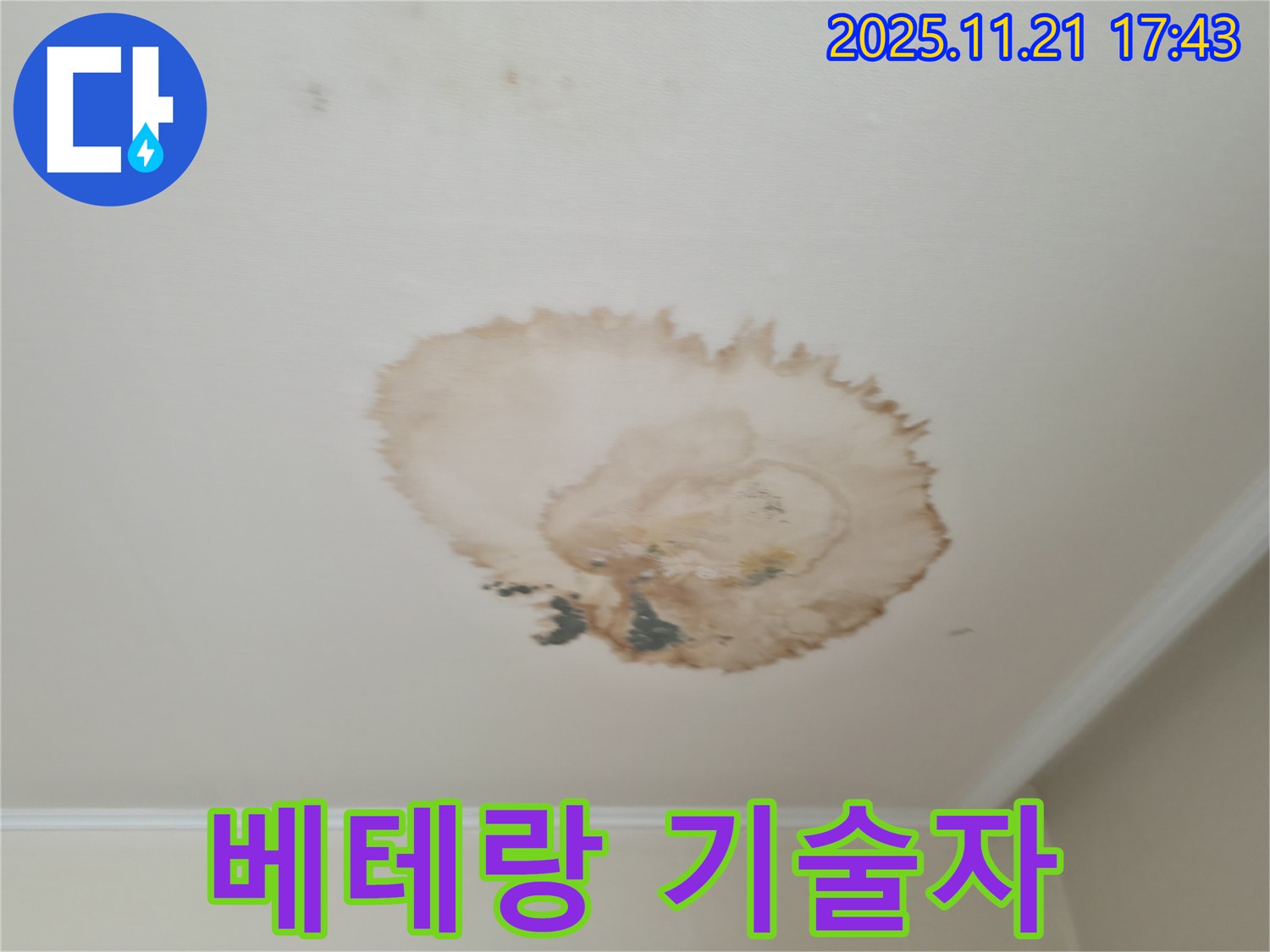 천장 누수 - 베테랑 기술 - 꼼꼼한 해결