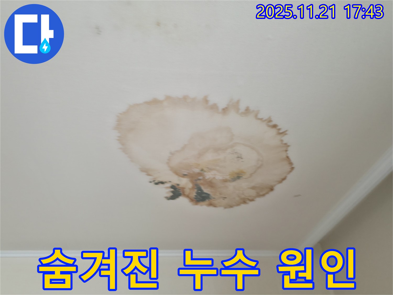 천장 누수 - 숨겨진 원인 - 꼼꼼한 점검