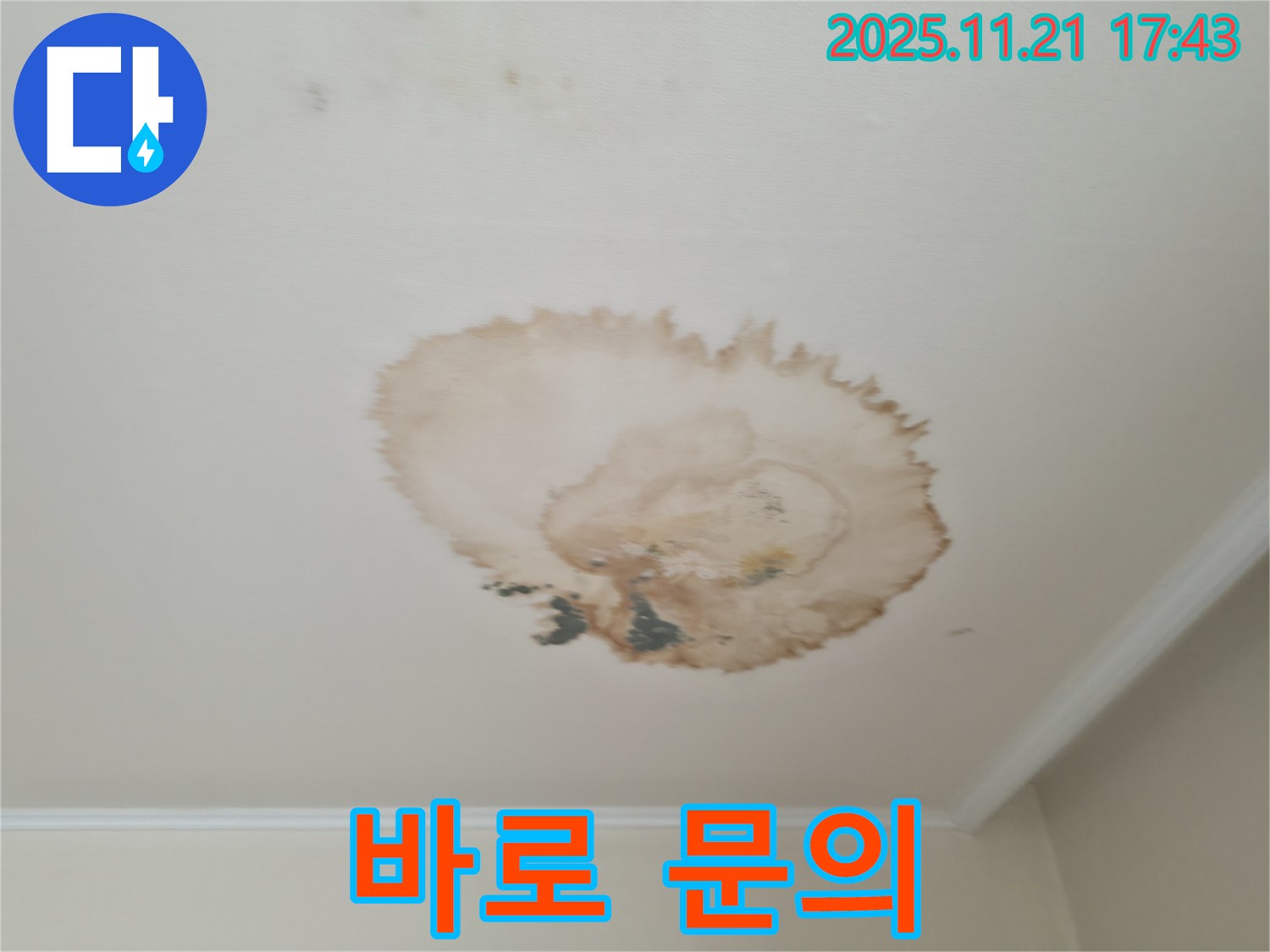 천장 누수 - 즉시 문의 - 빠른 해결