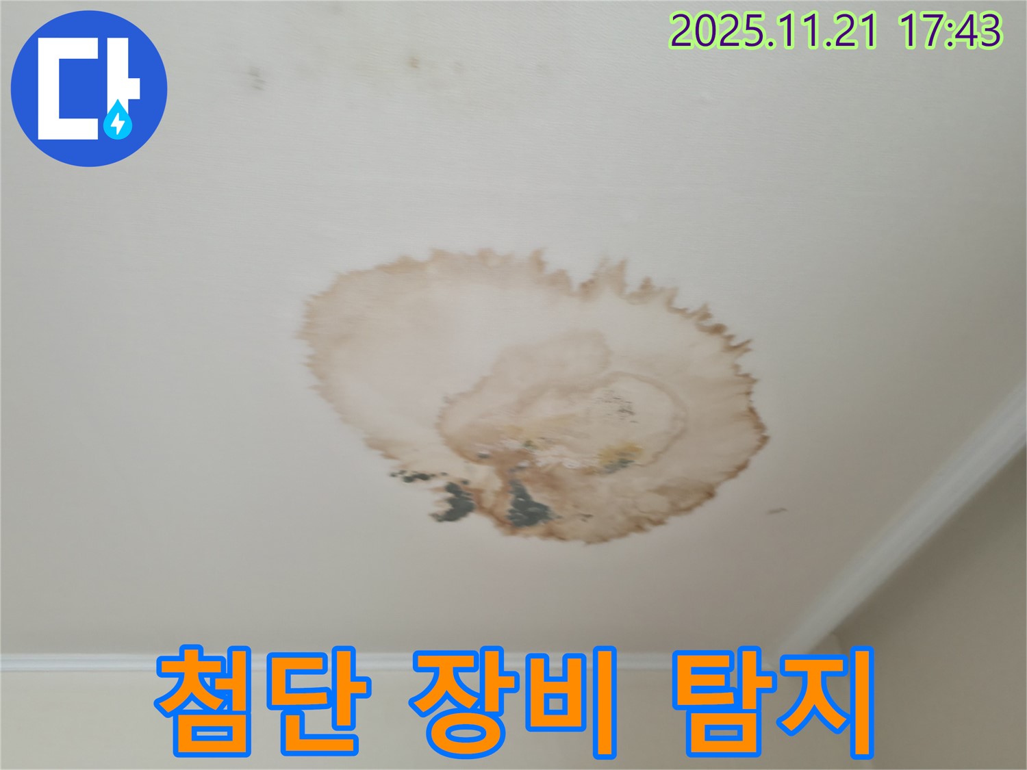 천장 누수 - 첨단 장비 - 정확한 탐지