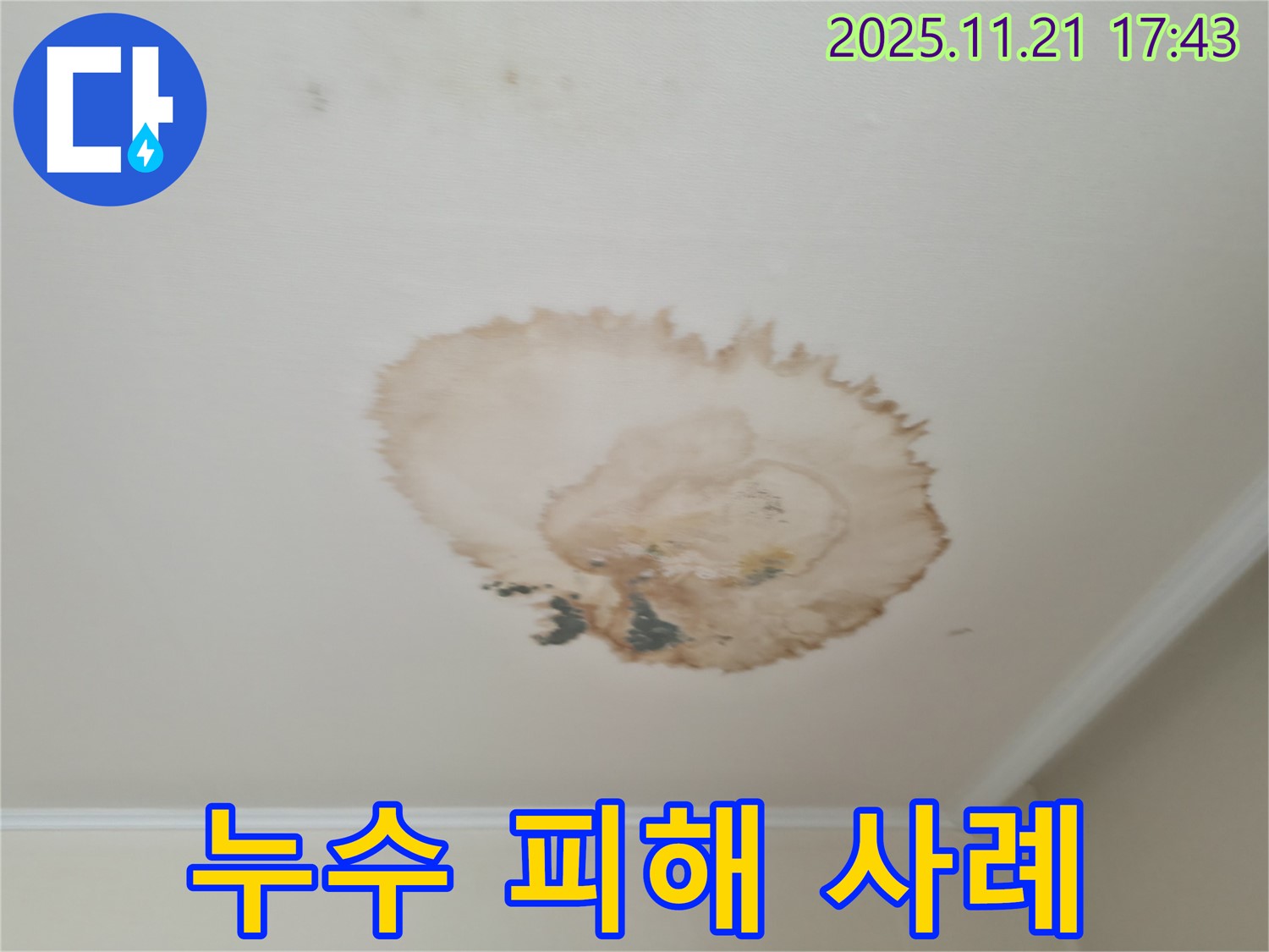 천장 누수 - 피해 사례 - 빠른 조치 필요