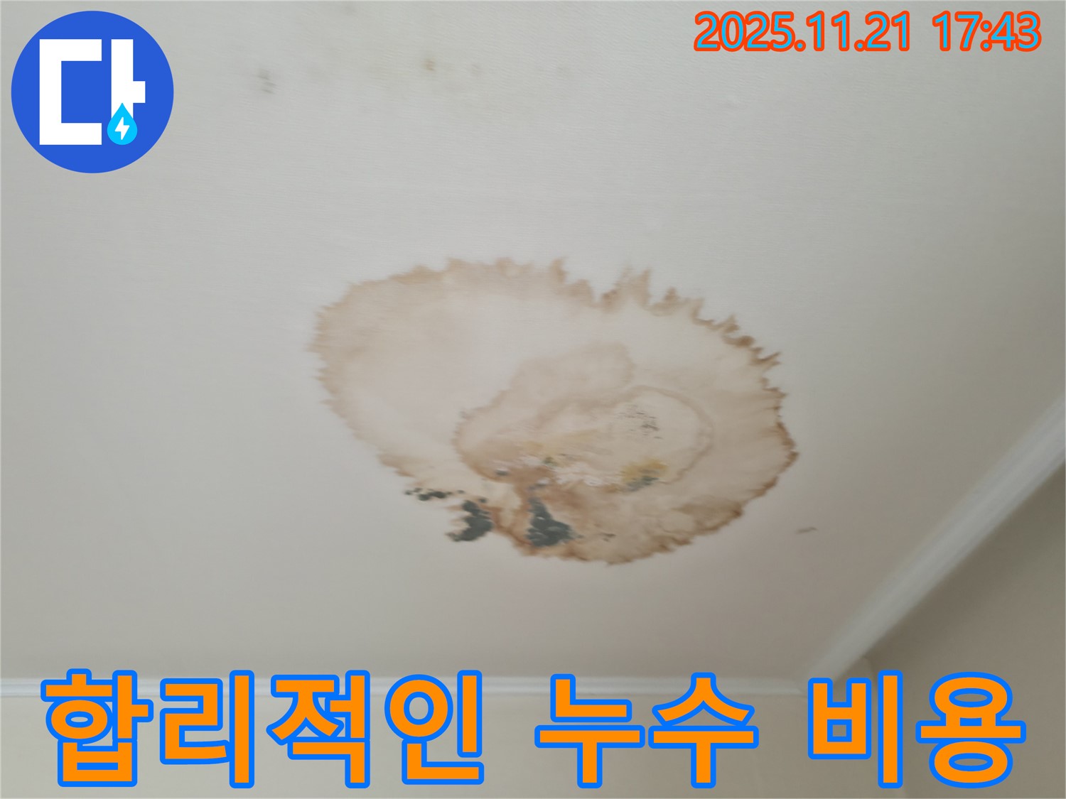 천장 누수 - 합리적인 비용 - 투명한 견적