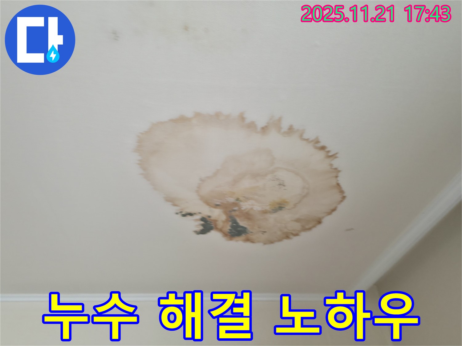천장 누수 - 해결 노하우 - 베테랑의 기술력