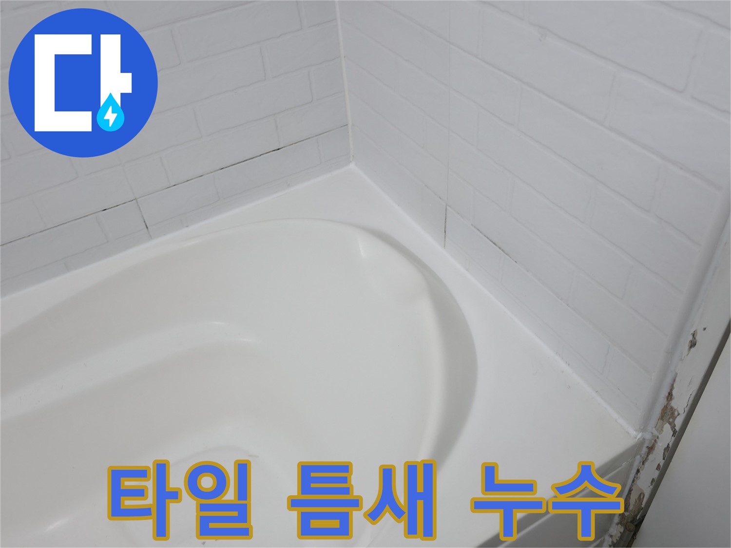 타일 틈새 - 누수의 시작