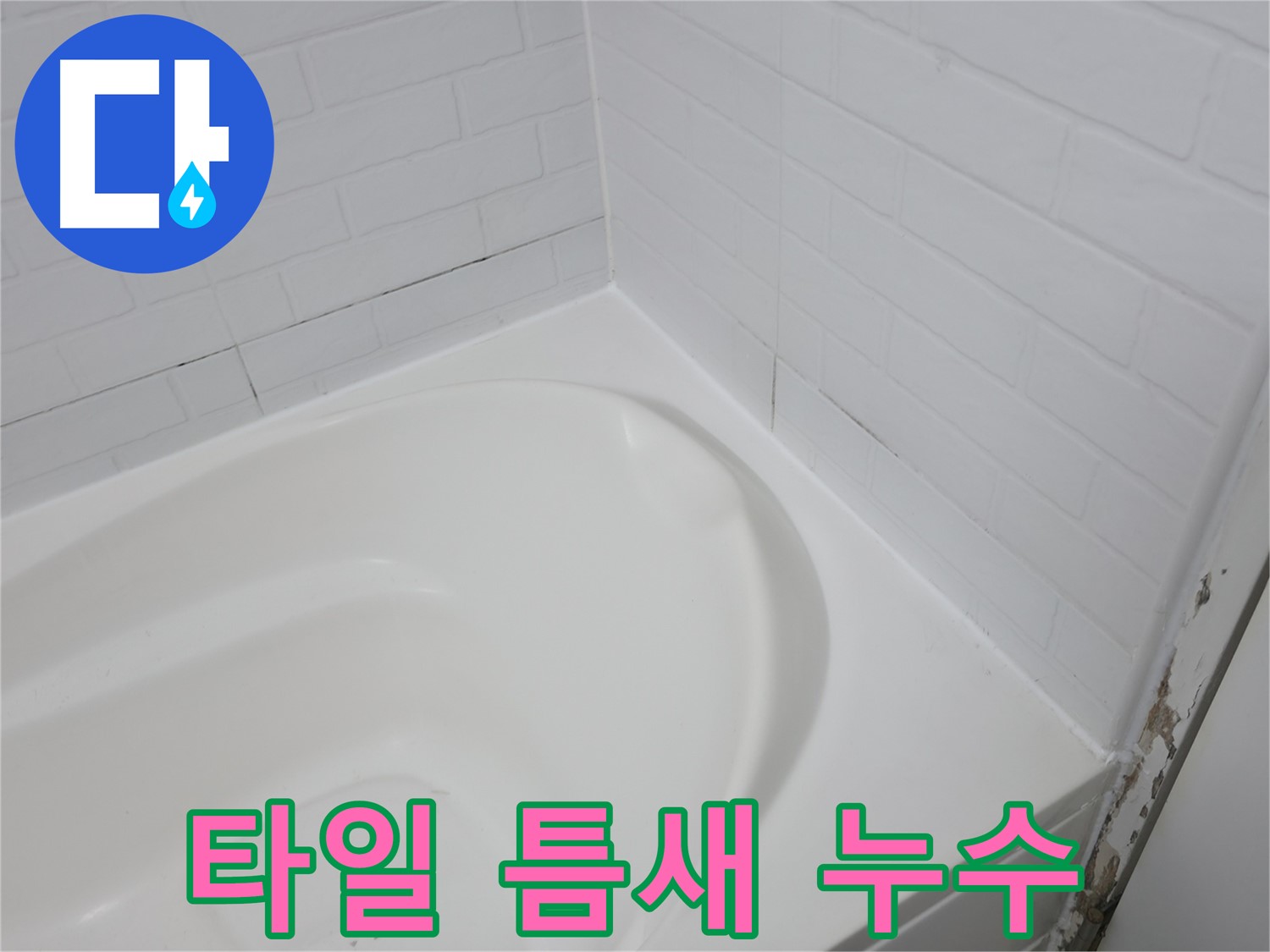 타일 틈새 - 누수의 시작점