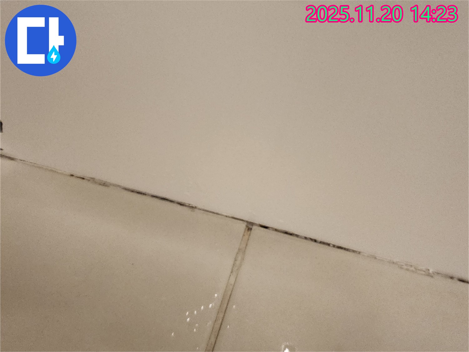 포천 가산면 - 곰팡이 슨 타일 틈새, 정확한 진단