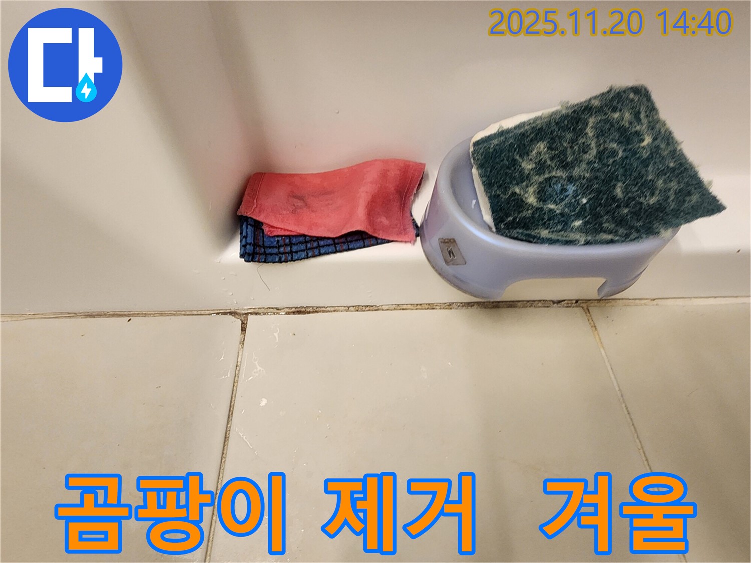 곰팡이 제거 - 겨울철에도 해야 할까요?
