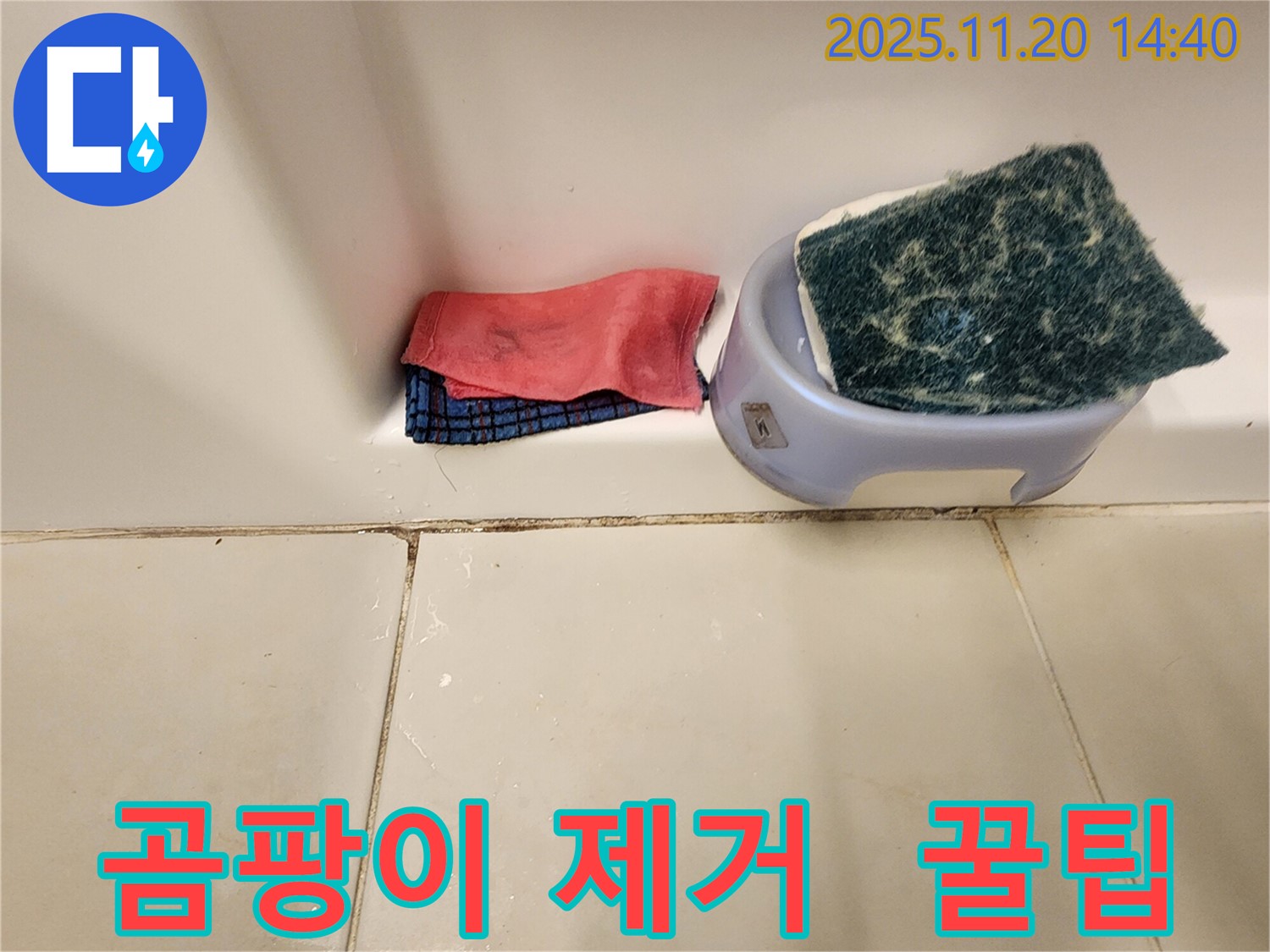 곰팡이 제거 - 꿀팁 알려드립니다!
