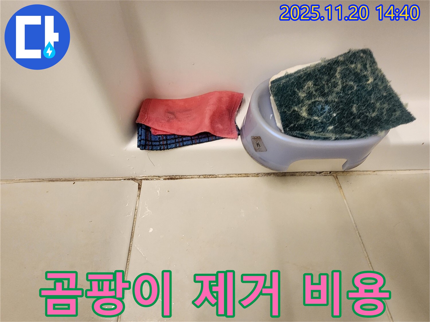 곰팡이 제거 비용 - 어떻게 결정될까요?