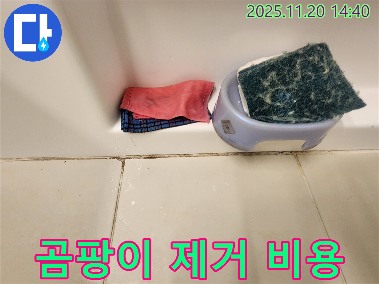 곰팡이 제거 비용 - 얼마나 들까요?