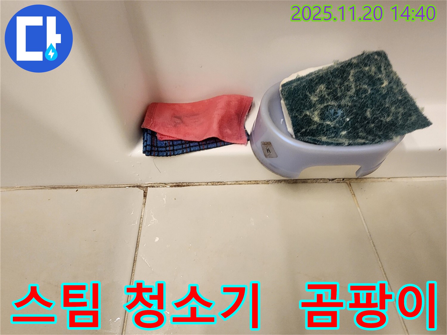 곰팡이 제거 - 스팀 청소기로도 가능할까요?