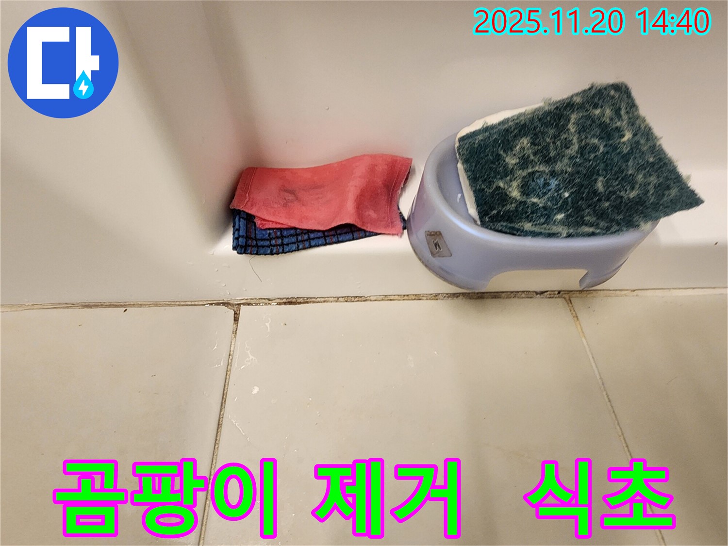 곰팡이 제거 - 식초로도 가능할까요?