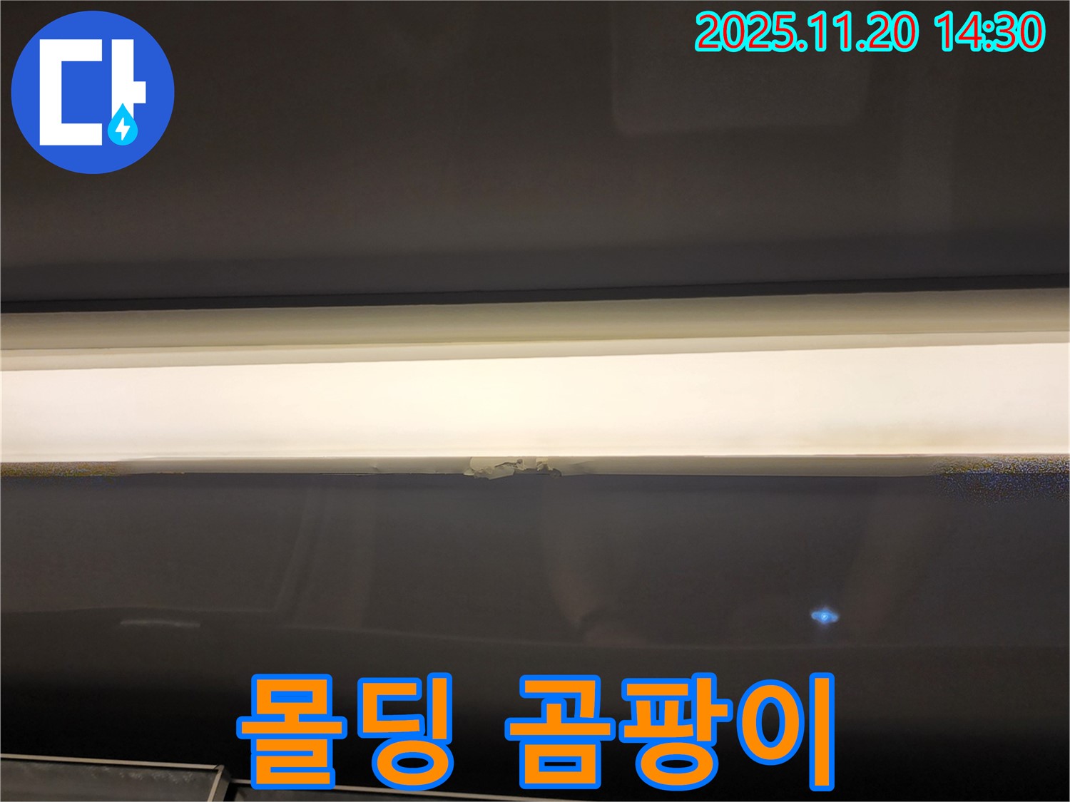몰딩 곰팡이 - 누수 해결이 우선