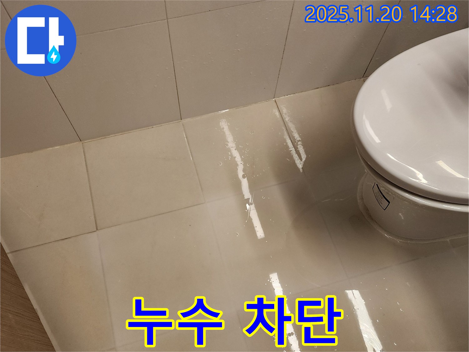 변기 누수 완벽 차단 - 이제 쾌적한 화장실을 사용하세요!