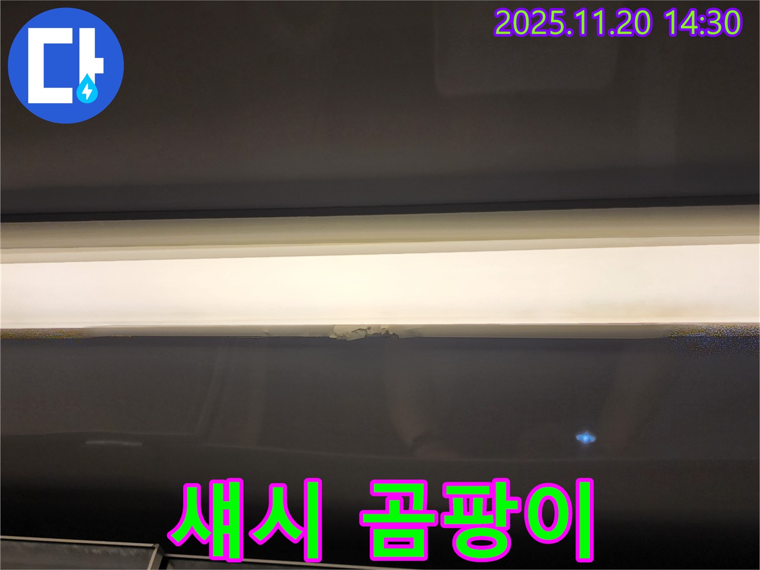 섀시 곰팡이 - 건강을 위협하는 누수