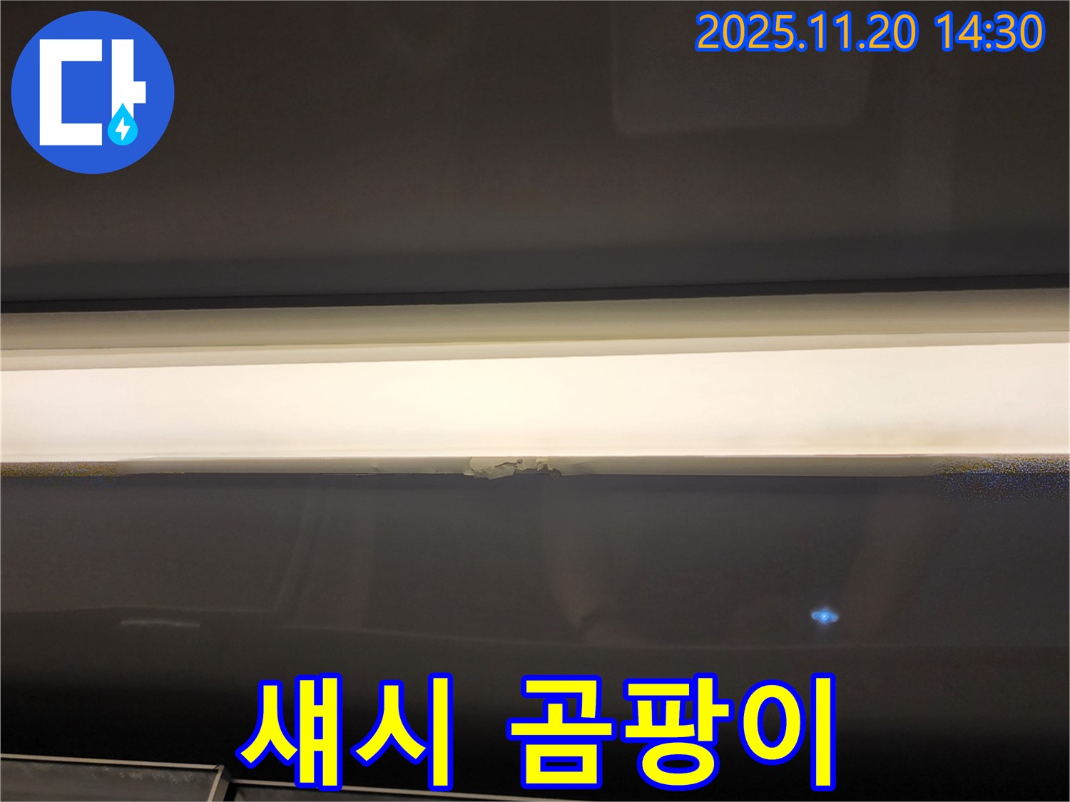 섀시 곰팡이 - 누수 가능성 확인 필요