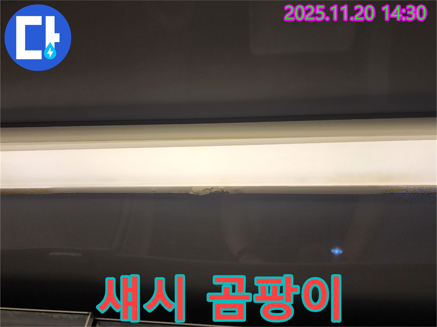 섀시 곰팡이 - 누수 해결이 우선