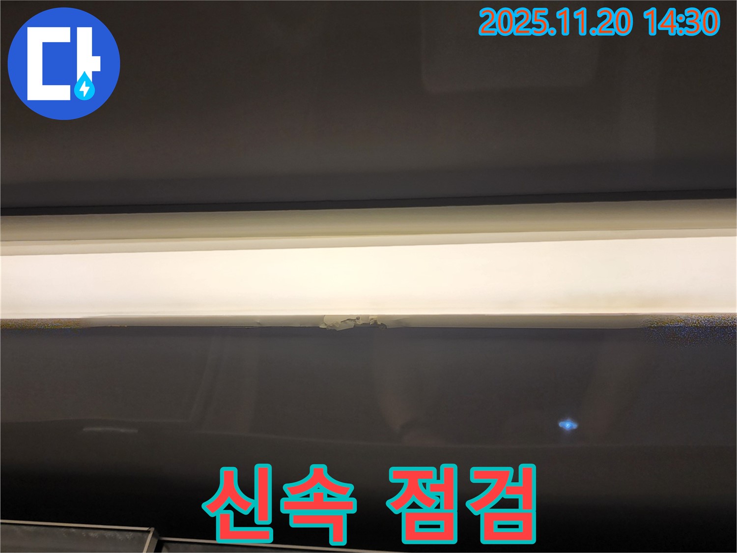 신속 점검 - 정확한 진단