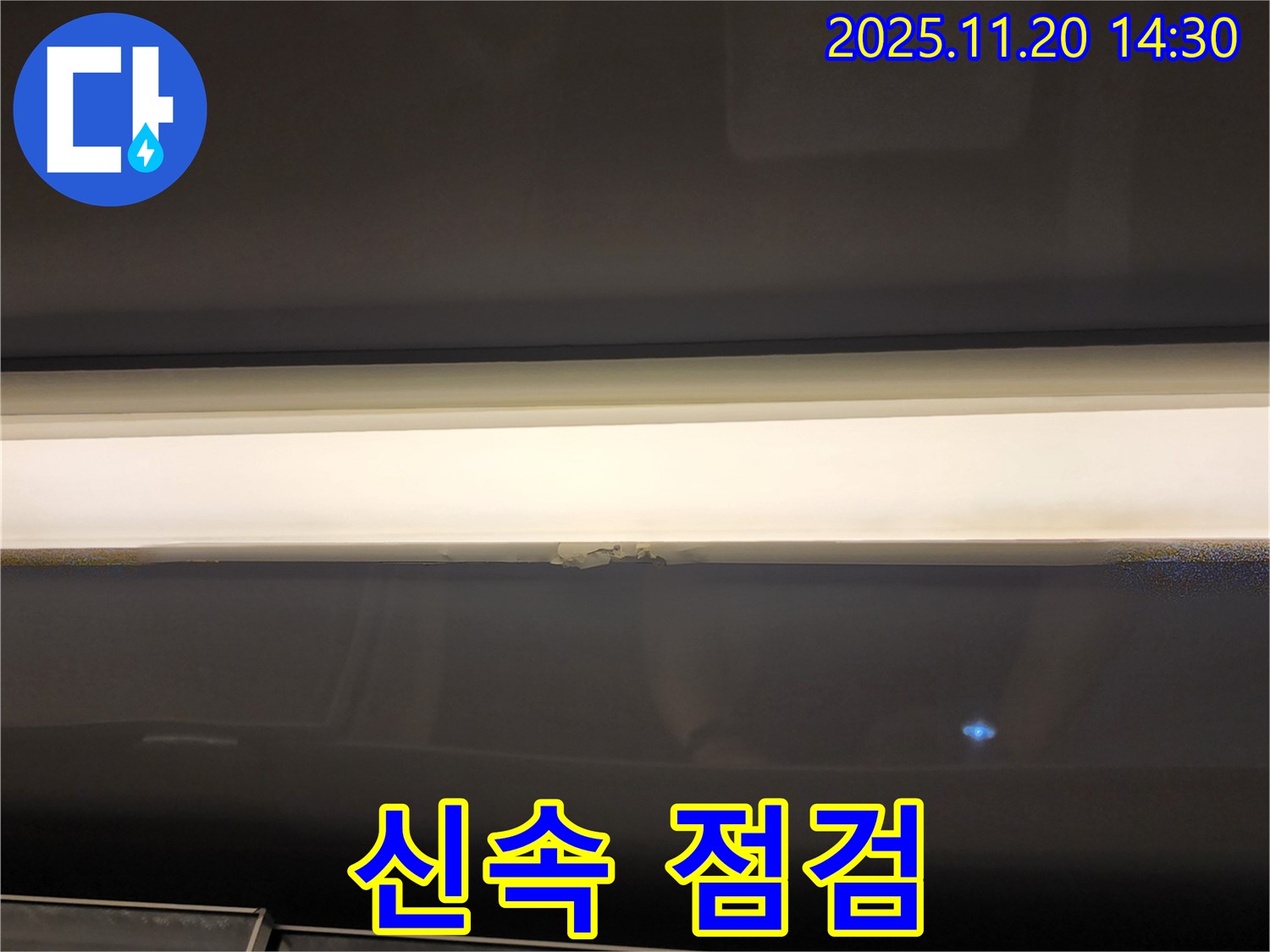 신속 점검 - 정확한 진단