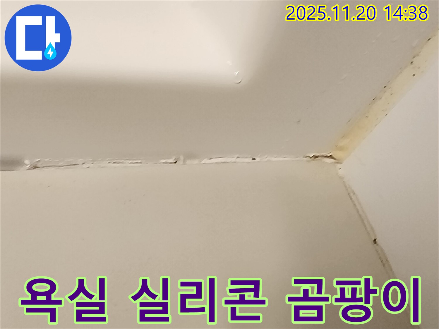 욕실 실리콘 곰팡이 - 제거와 재시공