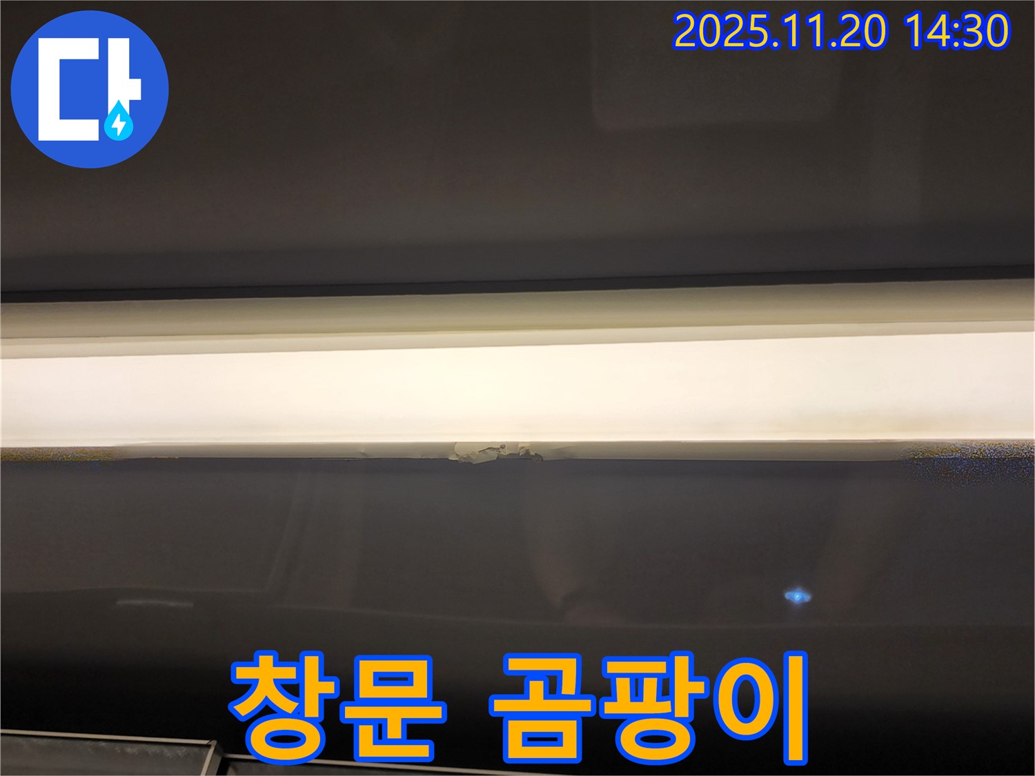 창문 주변 곰팡이 - 누수 의심 징후