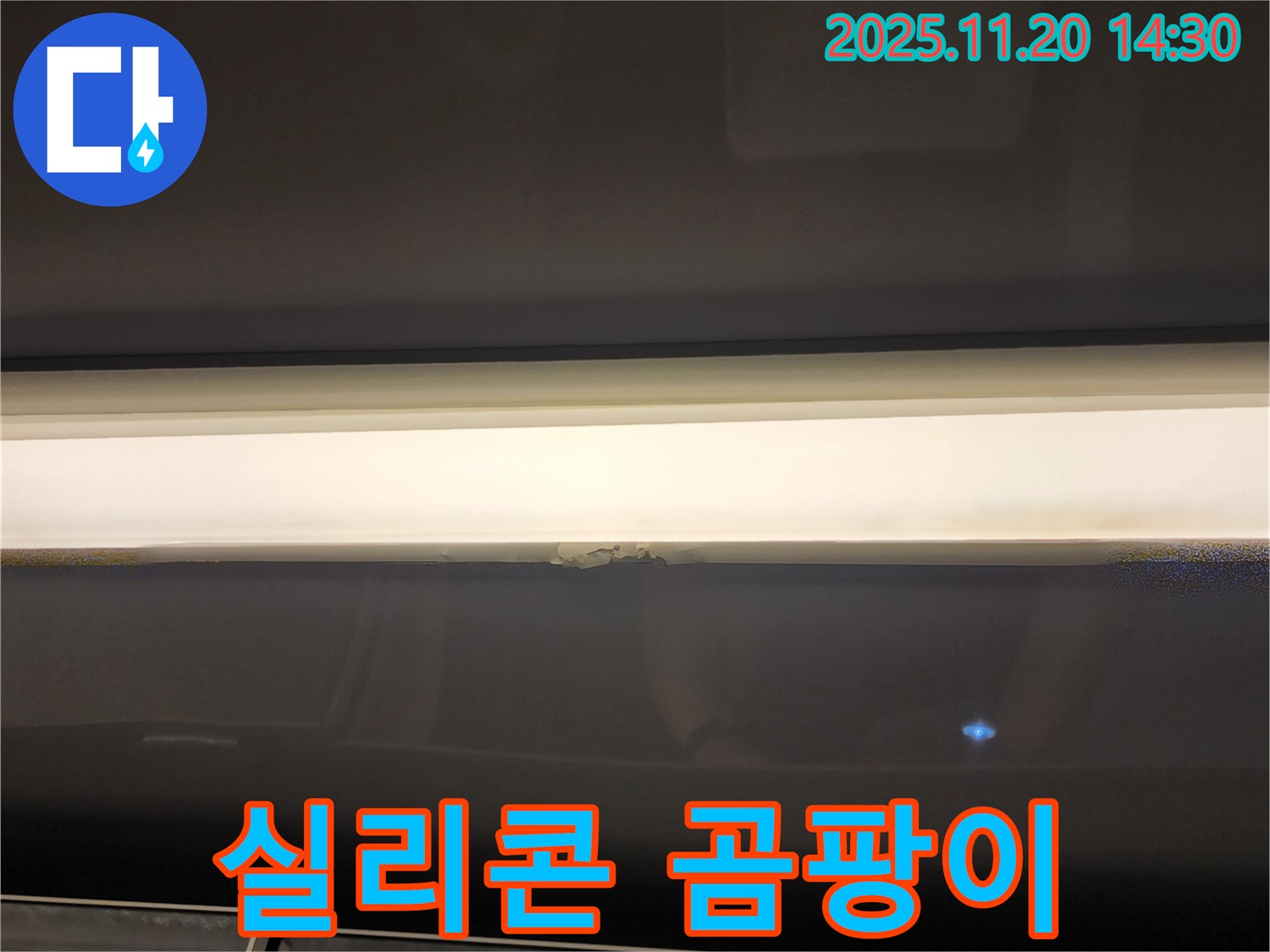 창틀 실리콘 곰팡이 - 누수 해결이 우선