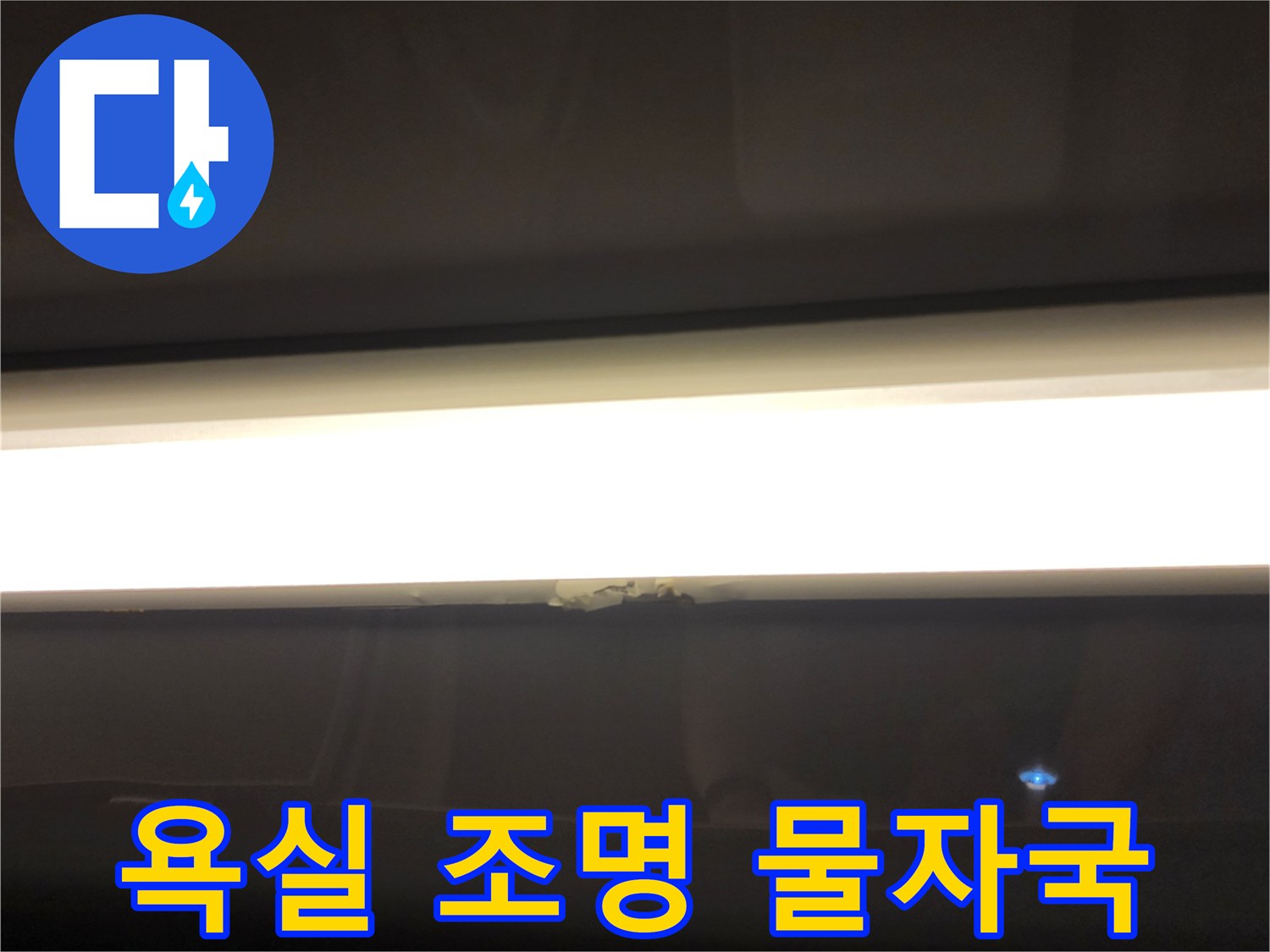 천장 조명 주변의 젖은 흔적 관찰