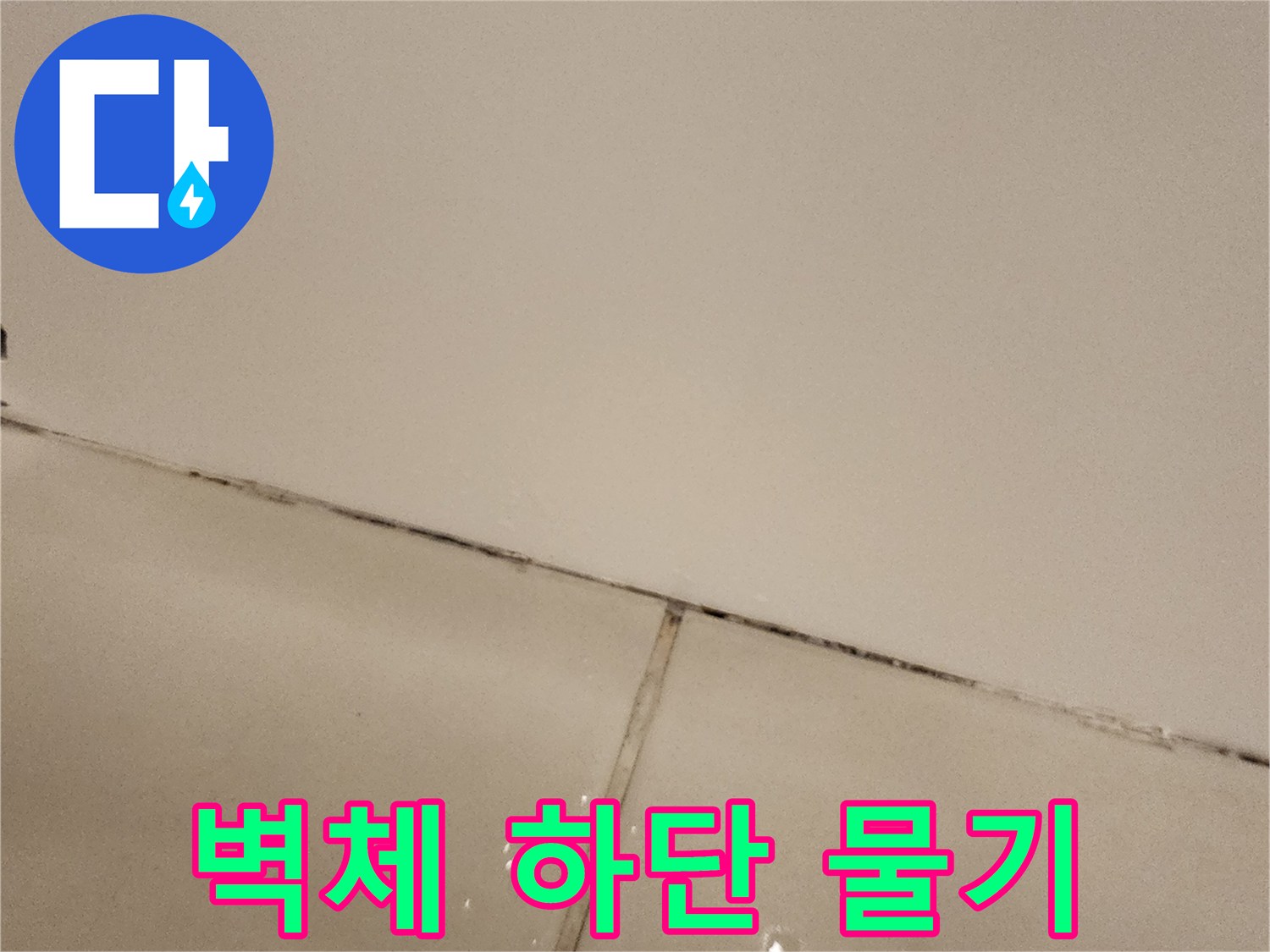 타일-경계-라인을-따라-발생한-습기-상태