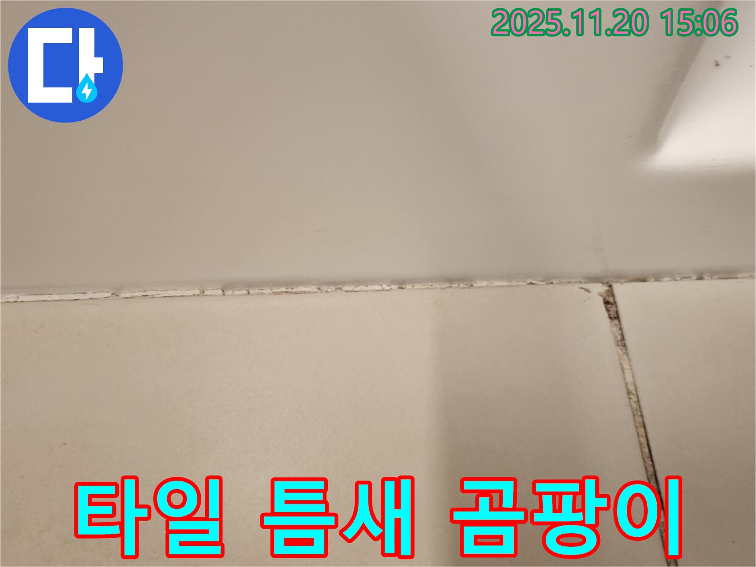 타일 틈새 곰팡이 - 누수 해결