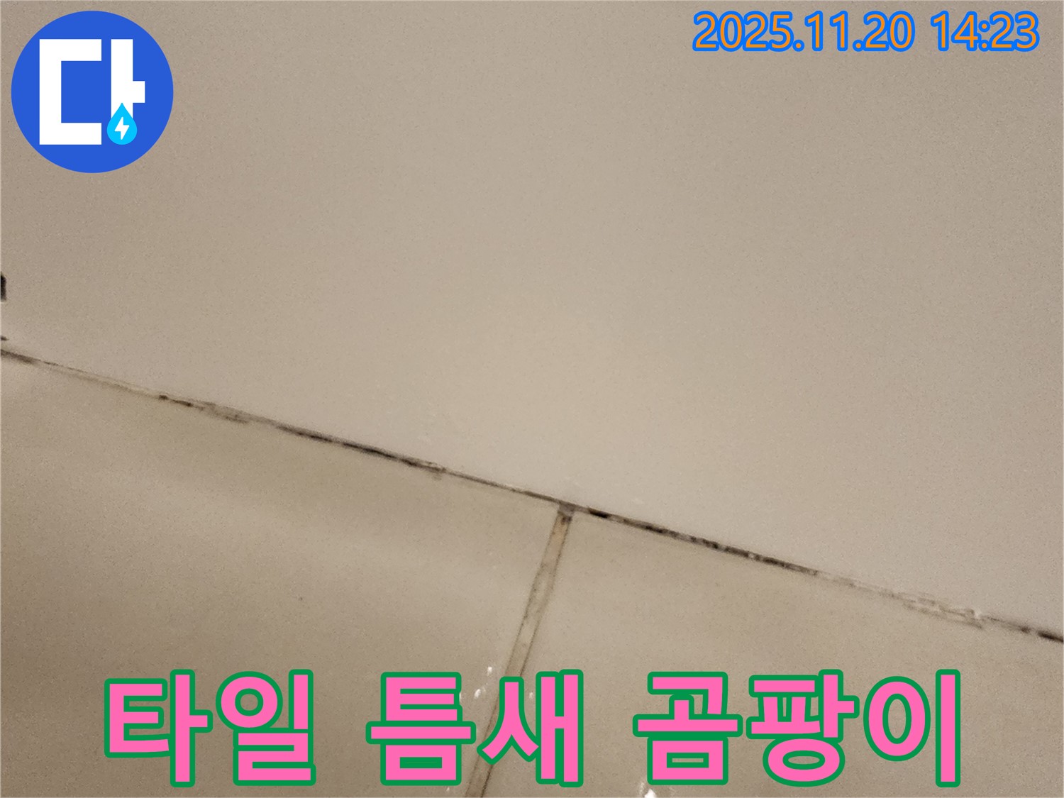 포천 마산리 욕실 타일 틈새 - 곰팡이 문제까지 해결