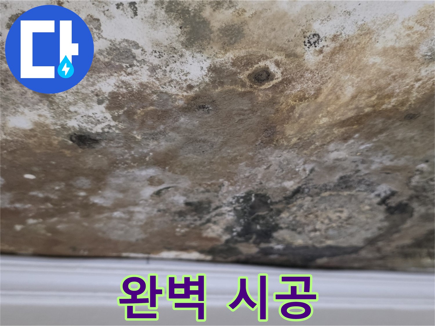 곰팡이 천장 - 완벽 시공으로 깔끔하게!