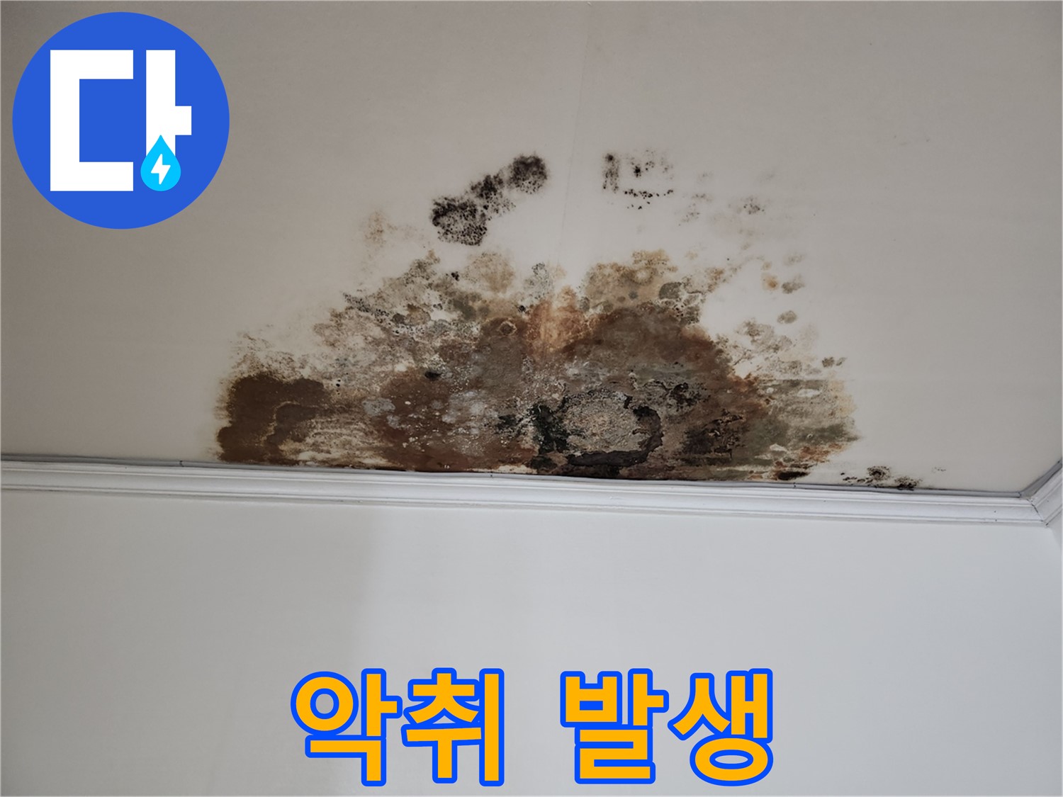 마포 누수 - 악취 제거