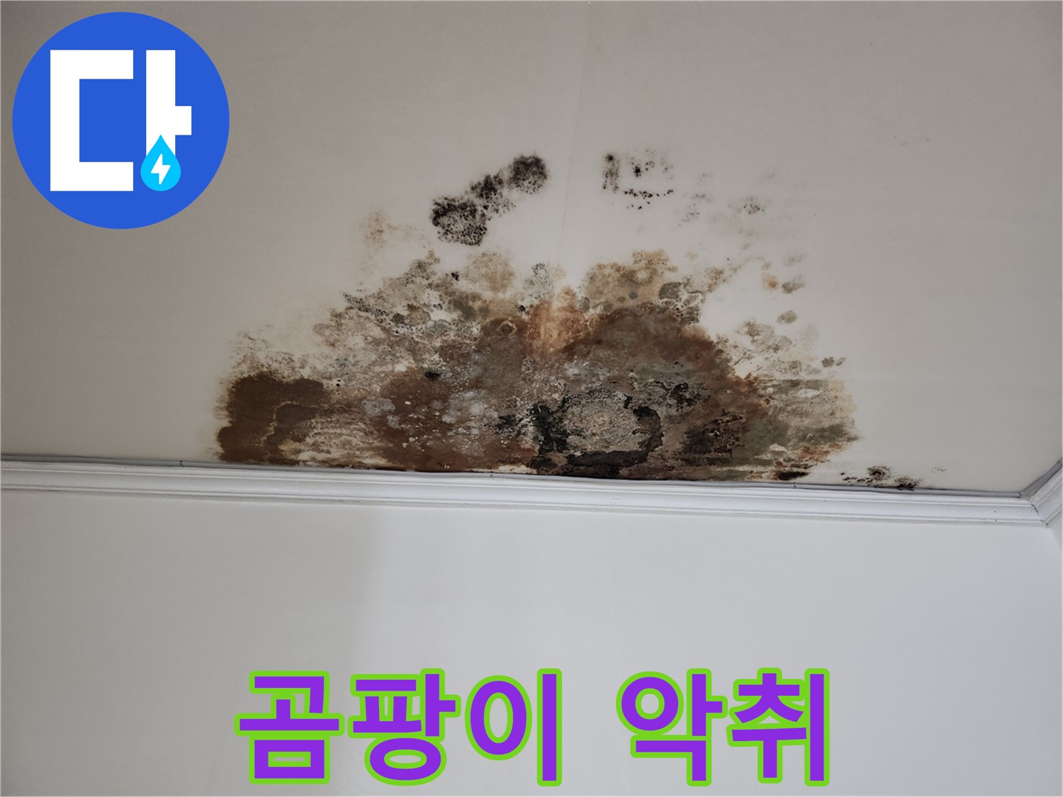 마포구 누수 - 곰팡이 악취