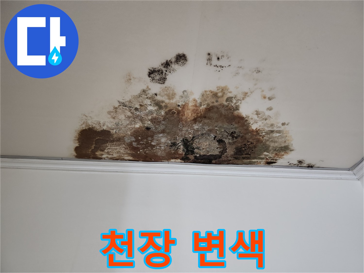 마포구 누수 - 곰팡이로 변색된 천장