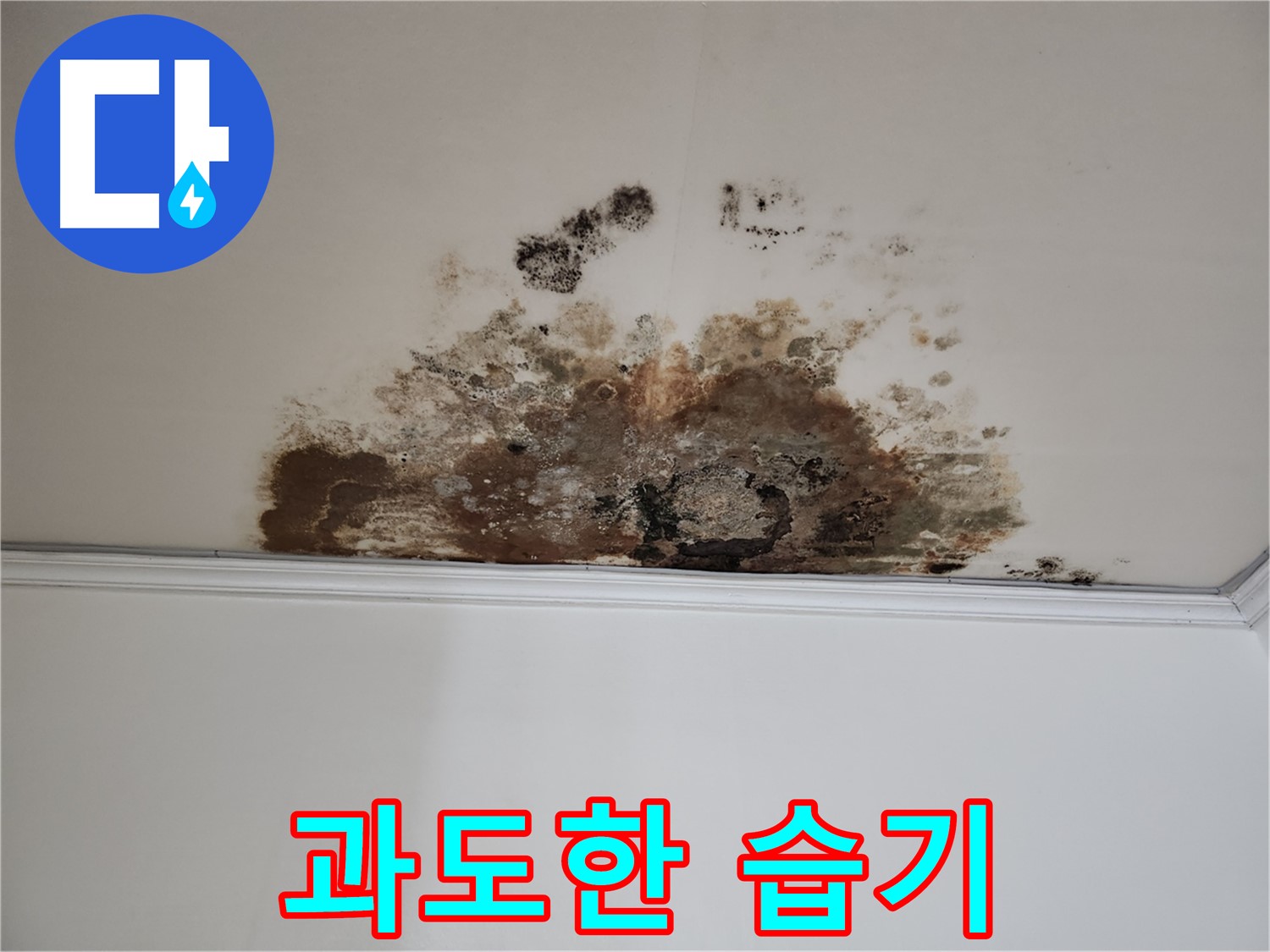 마포구 누수 - 습기 제거