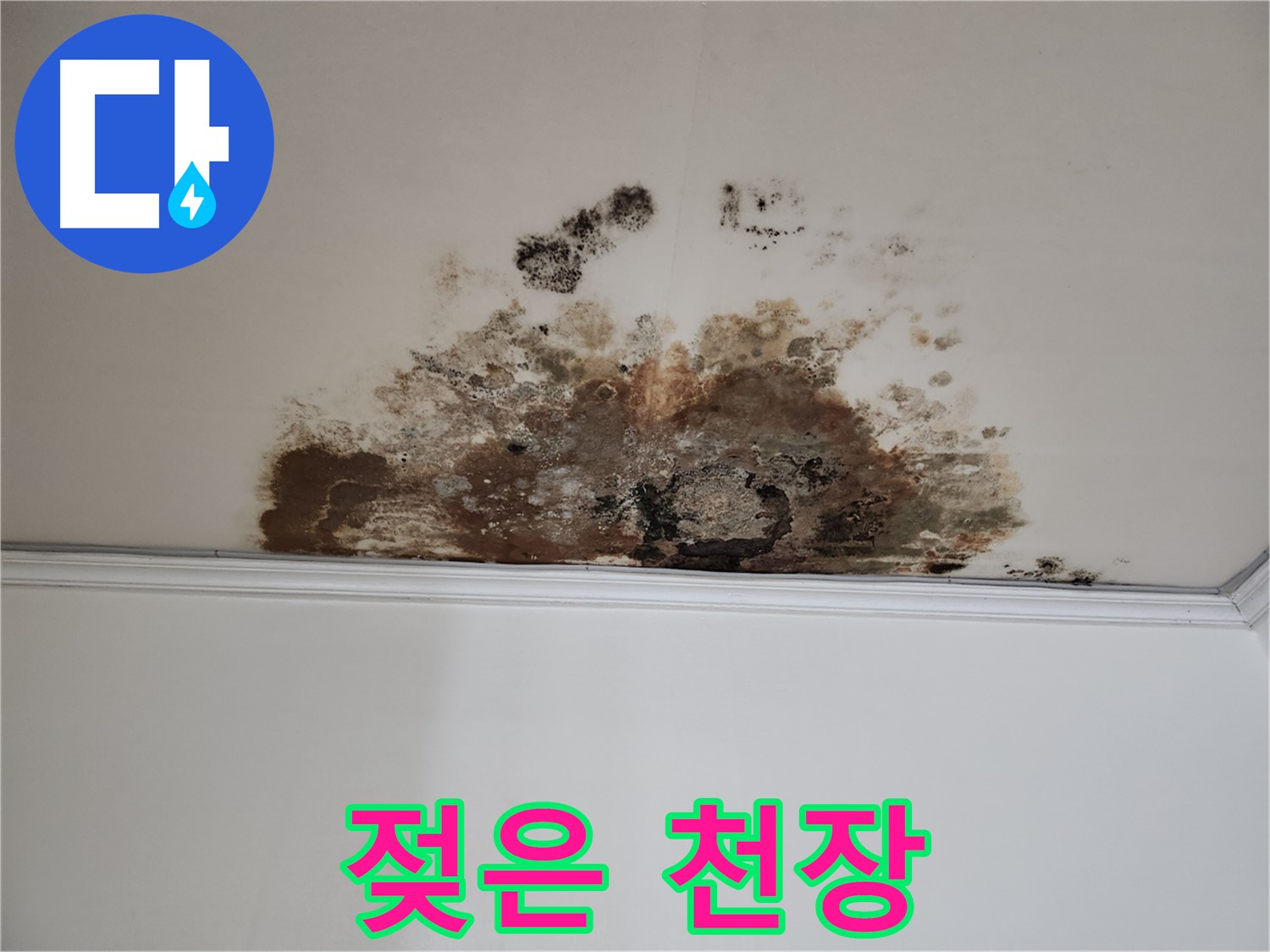 마포구 누수 - 젖어있는 천장의 모습