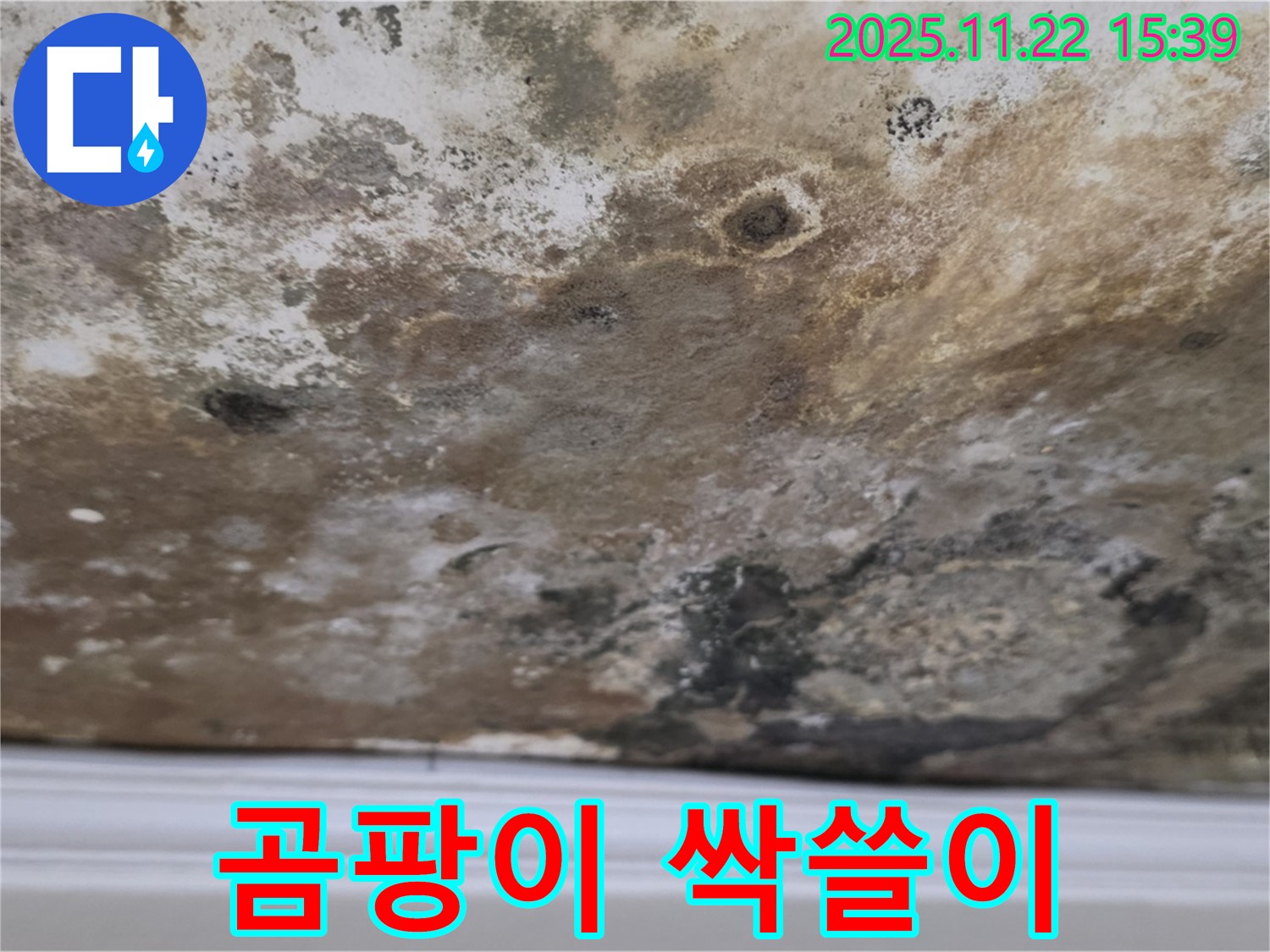 마포구 새창로8길 - 천장 곰팡이 싹쓸이 대작전