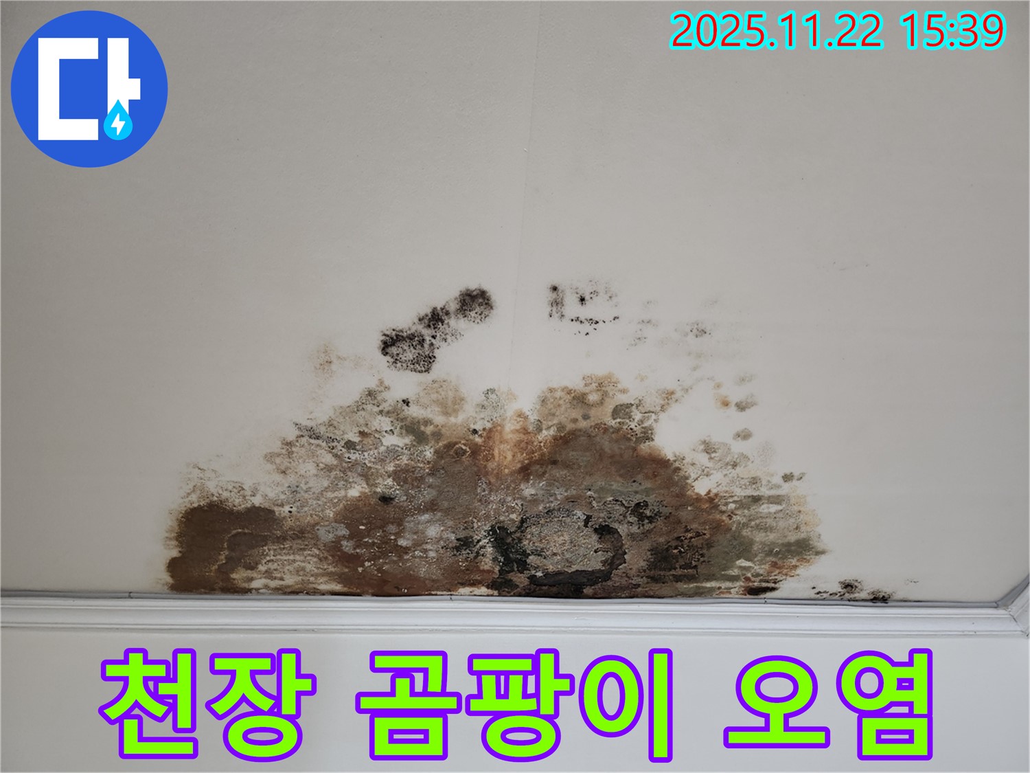 마포구 용강동 아파트 - 곰팡이로 오염된 천장