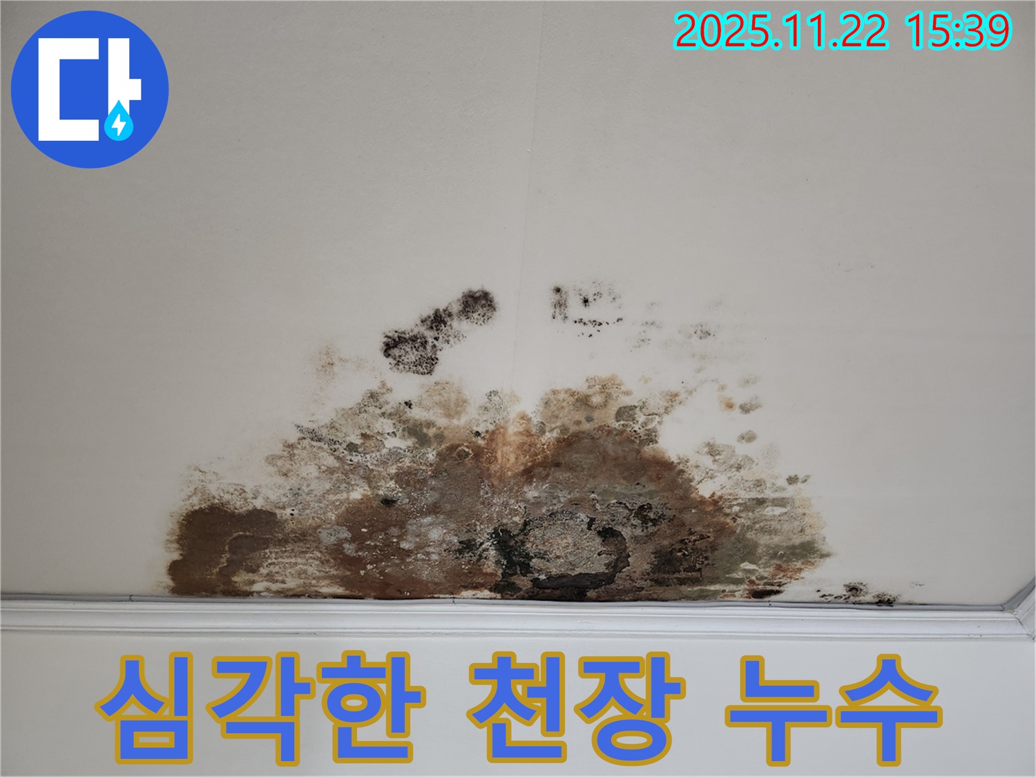 마포구 용강동 아파트 - 심각한 천장 누수
