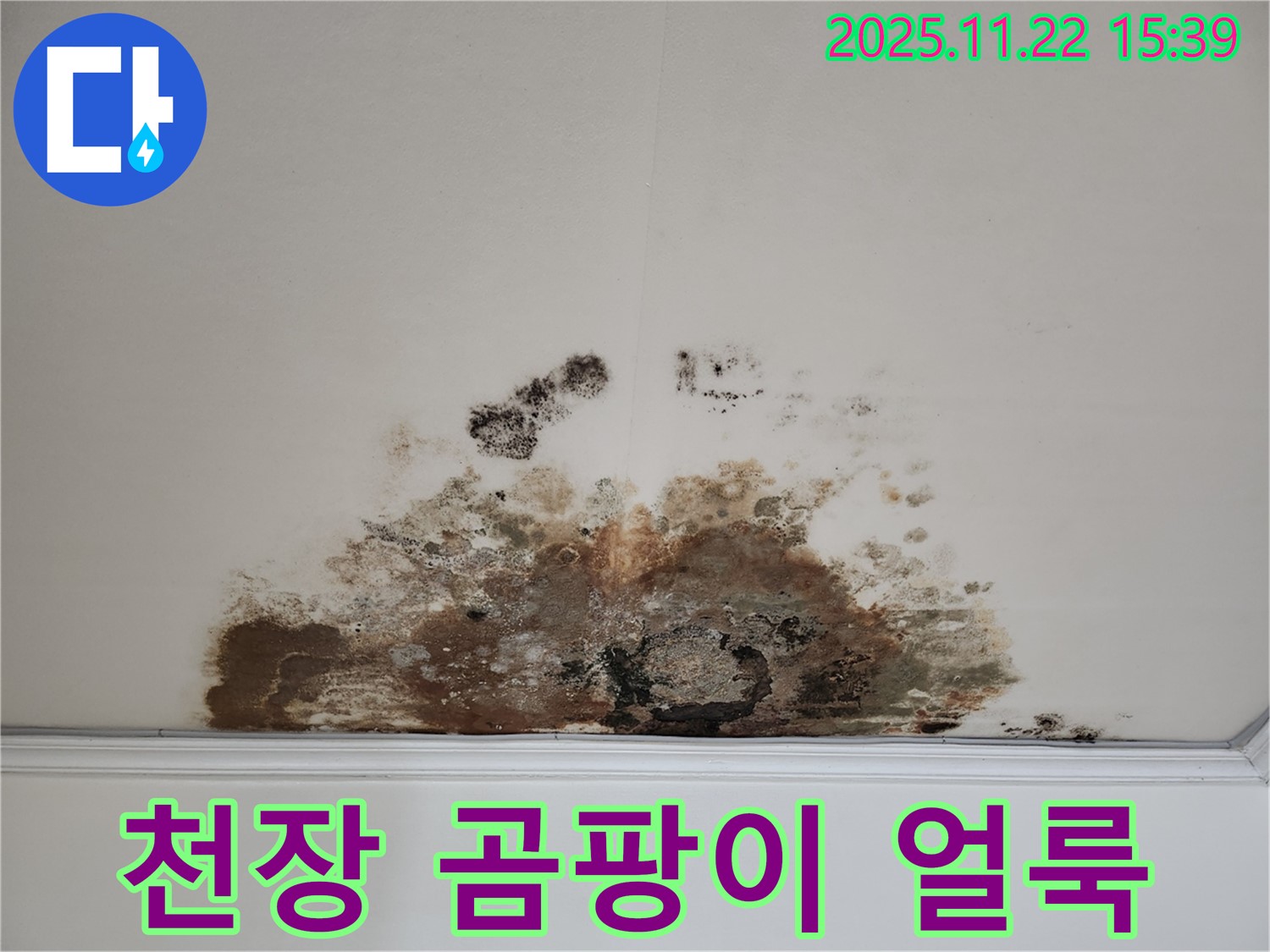 마포구 용강동 아파트 - 천장 곰팡이 얼룩